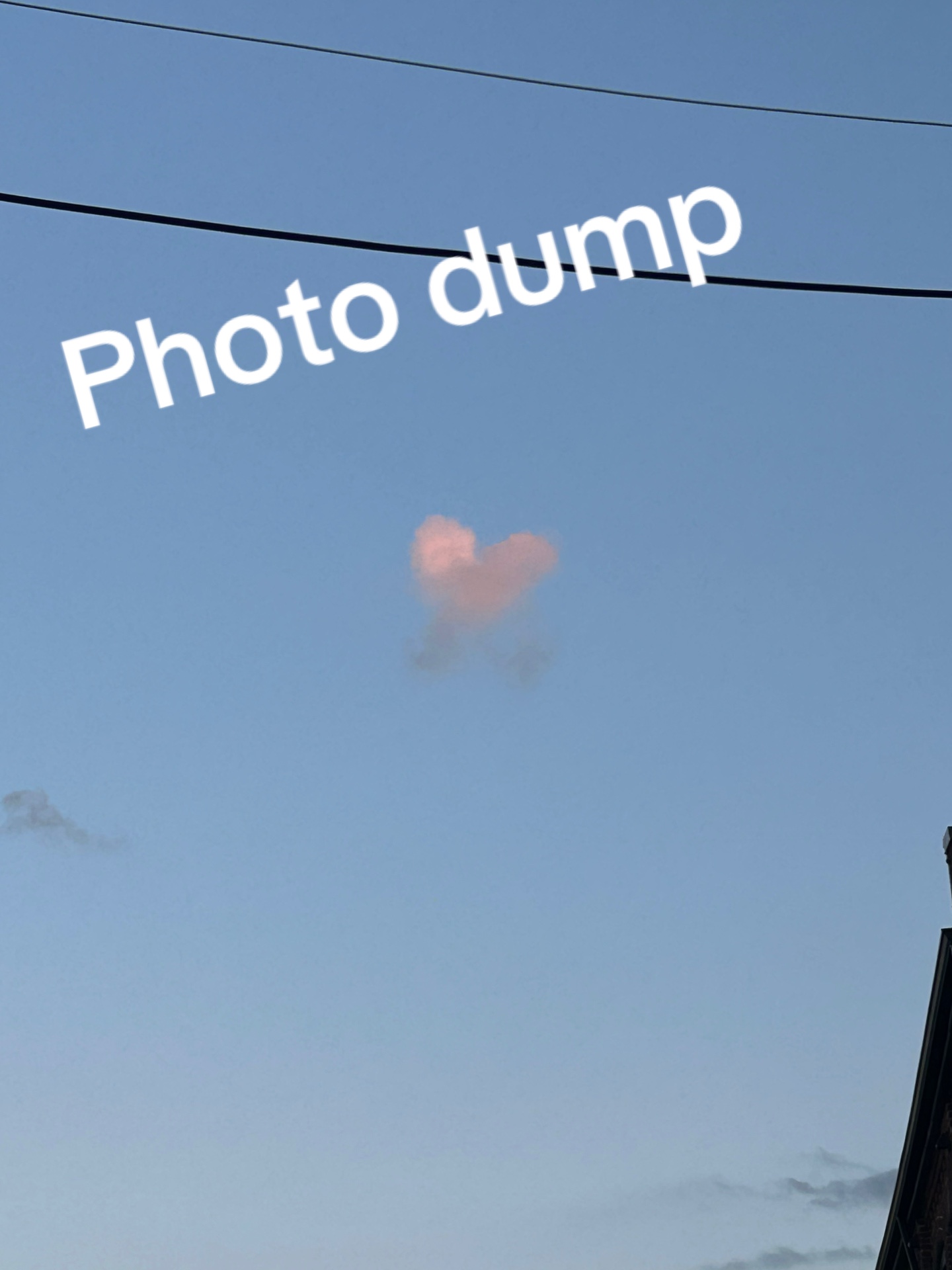 @🥎Autumn🥎