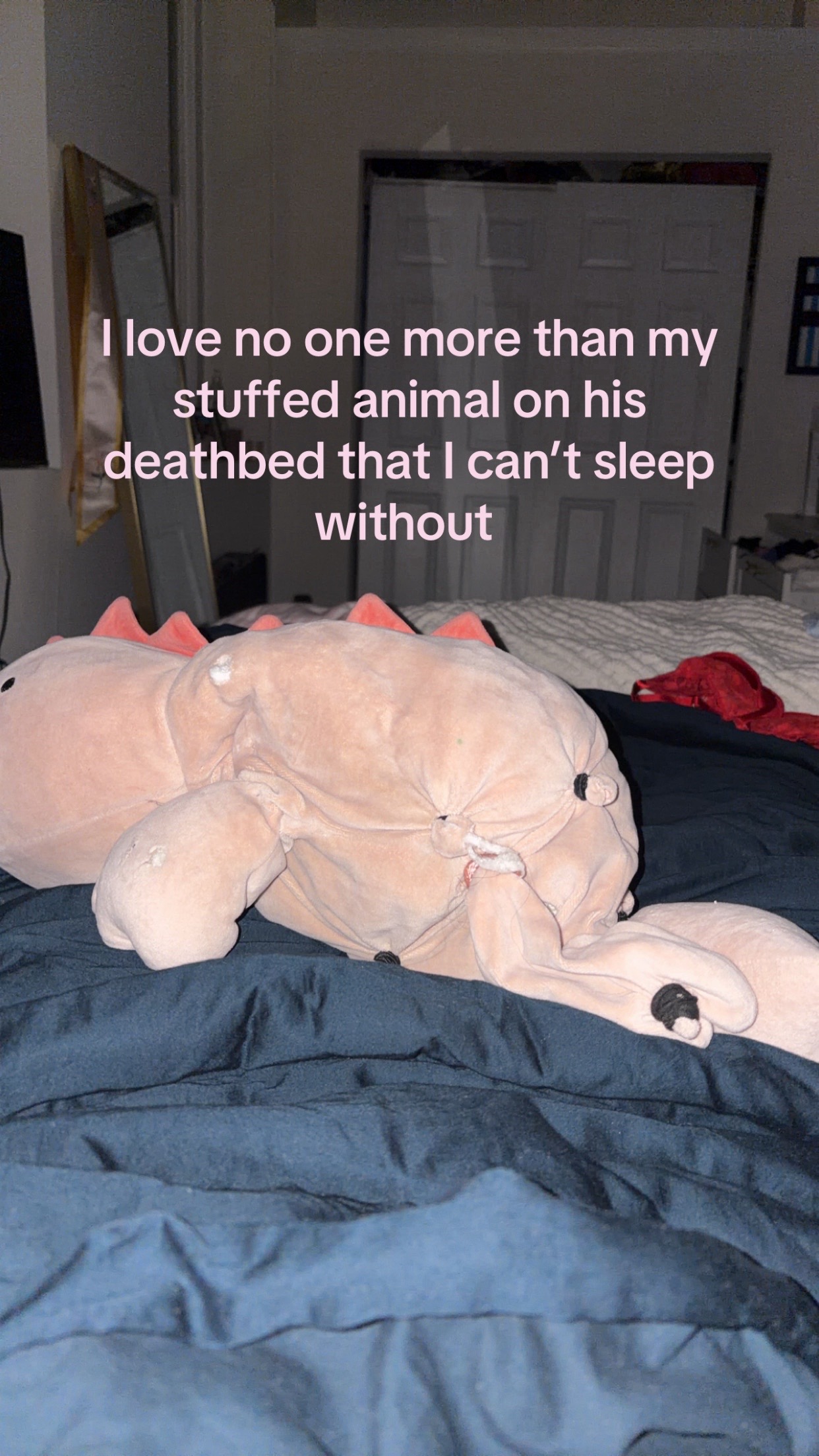 @🪽🪽