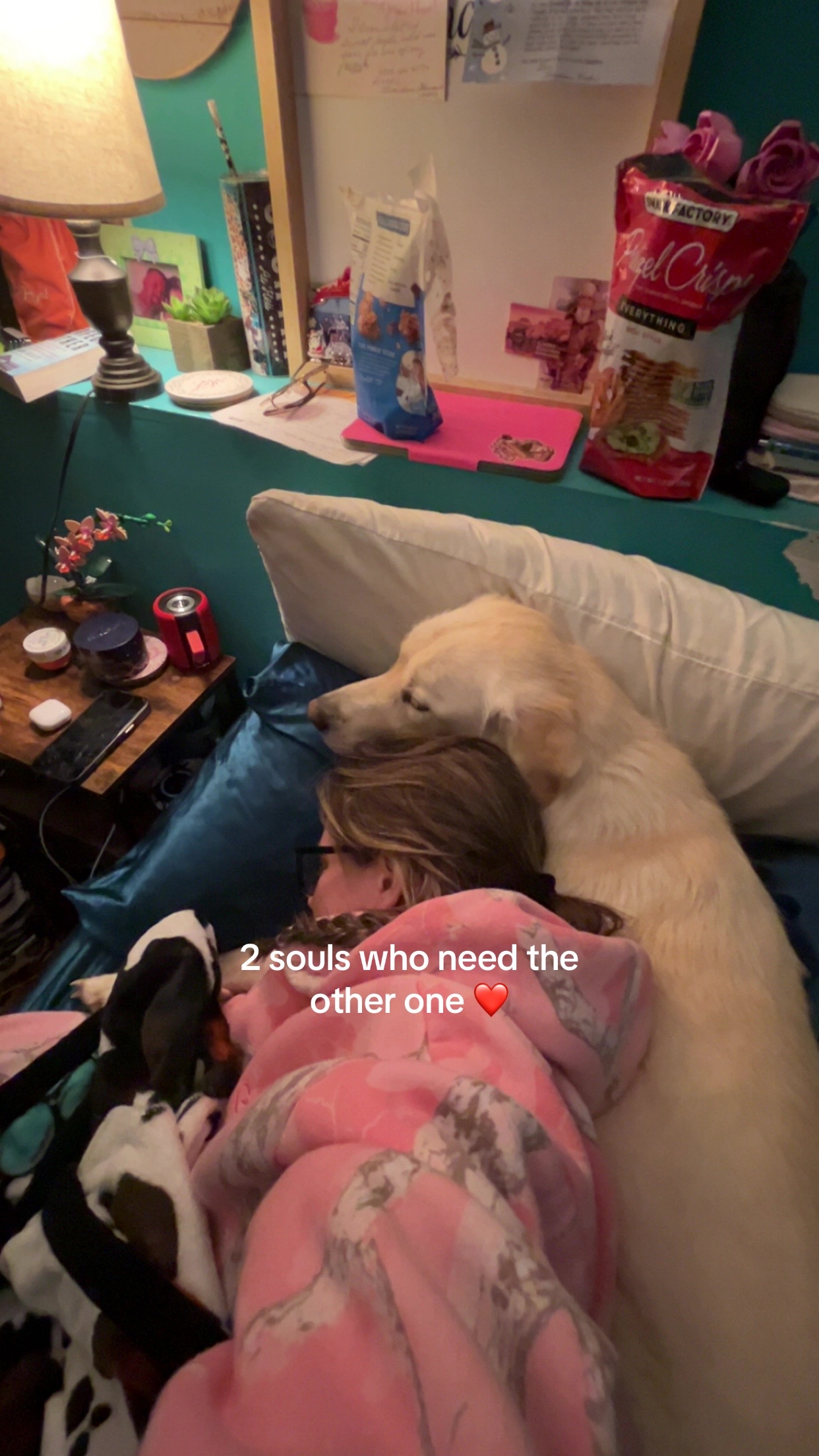 @Kenz✝️