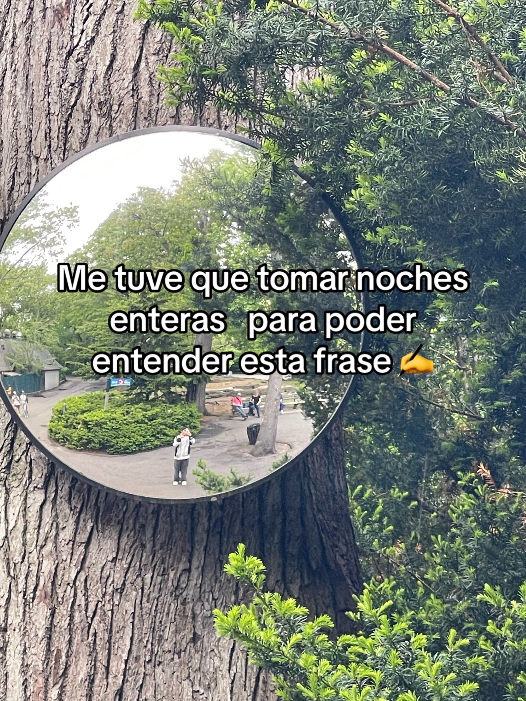 @FABRICIÒ🐣