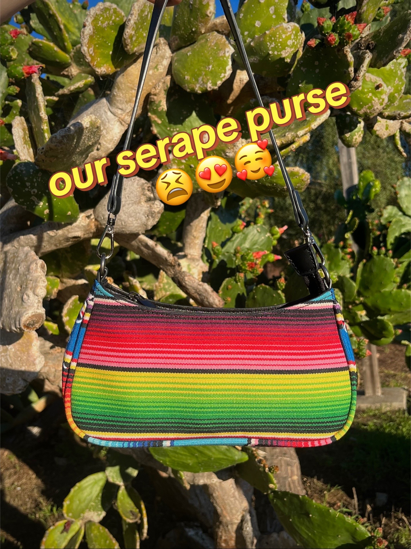 @roscisne.com