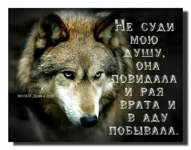 @liya 76