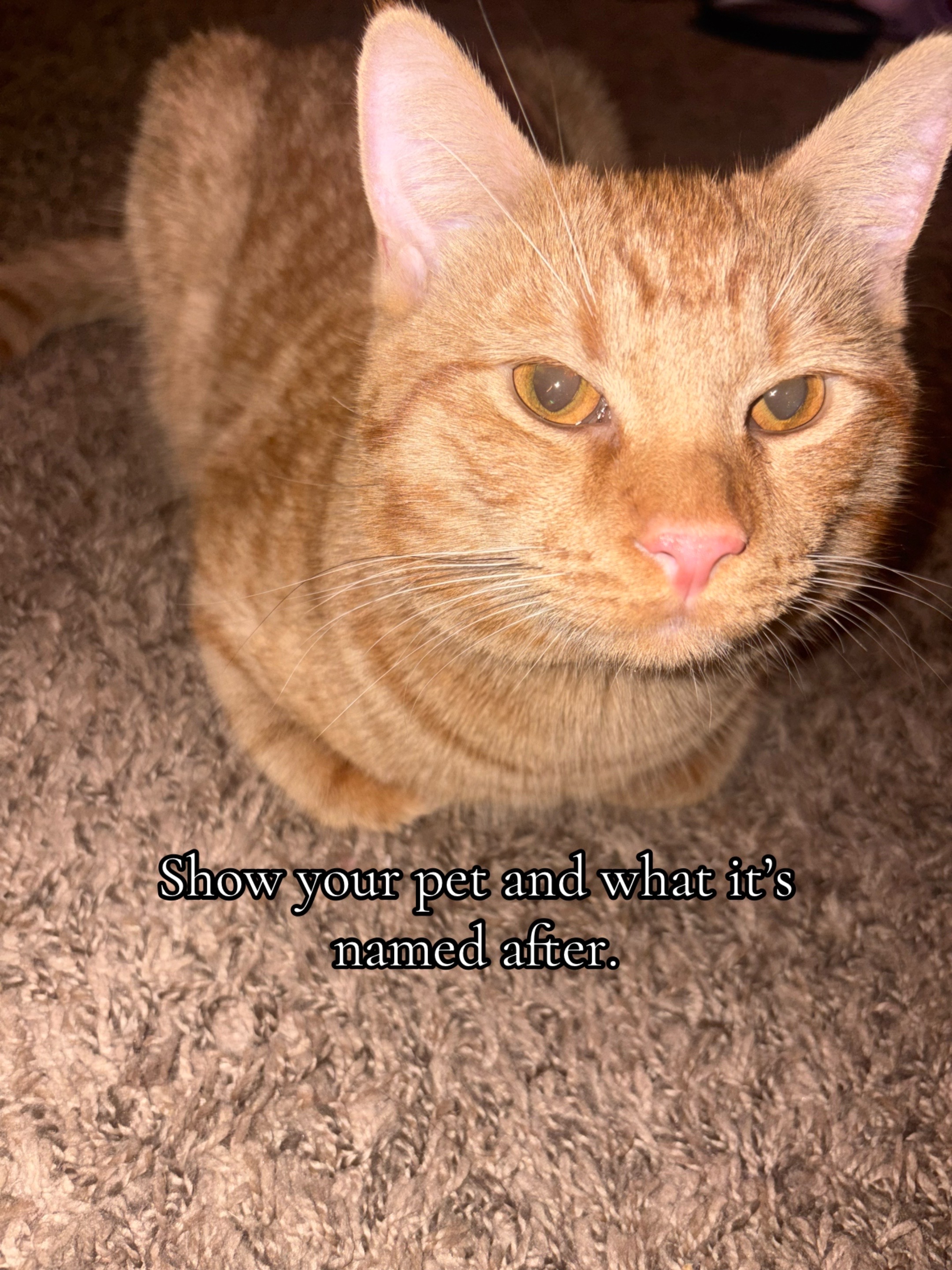@🌧️