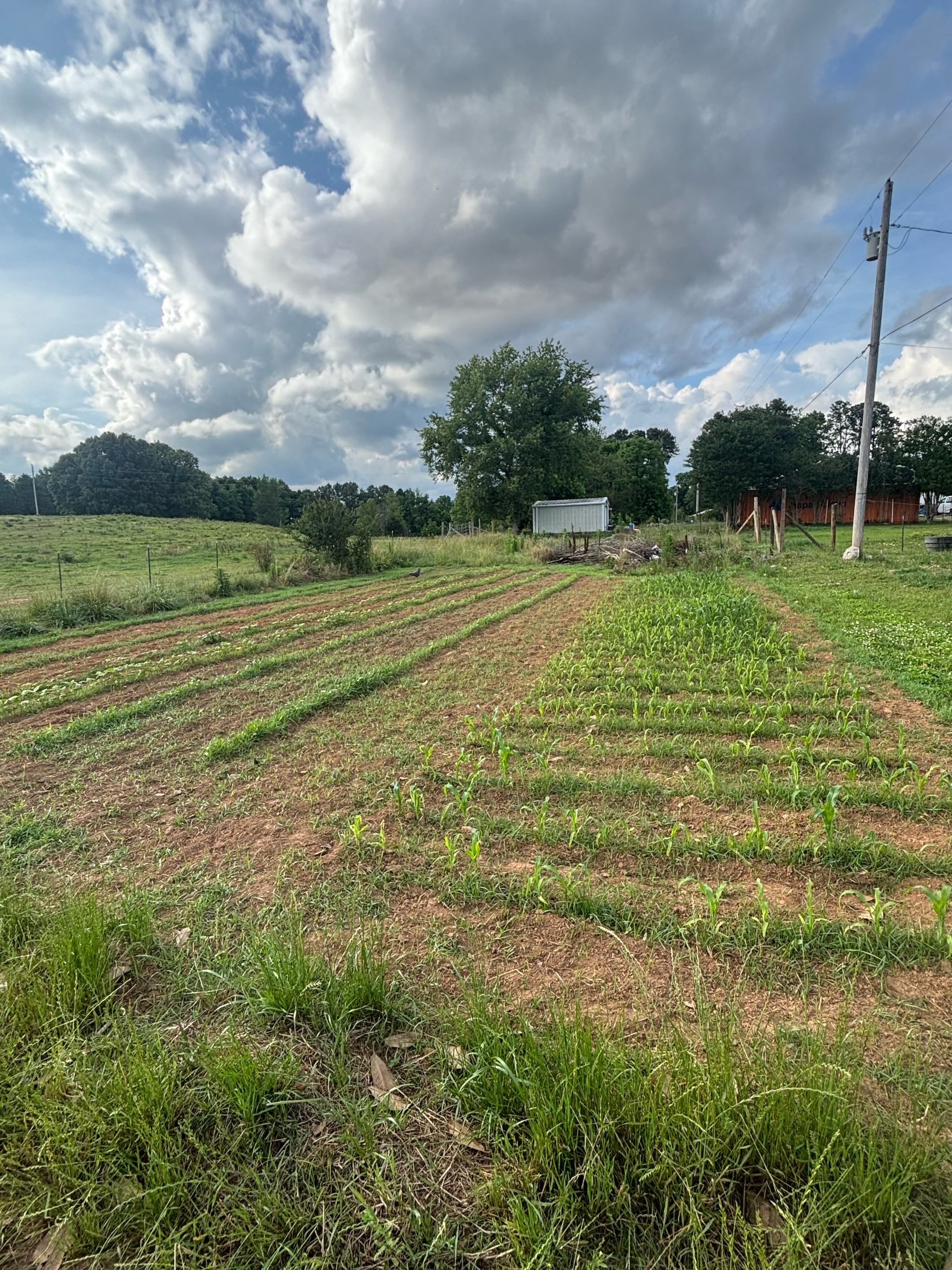 @C&B Chaos Farms