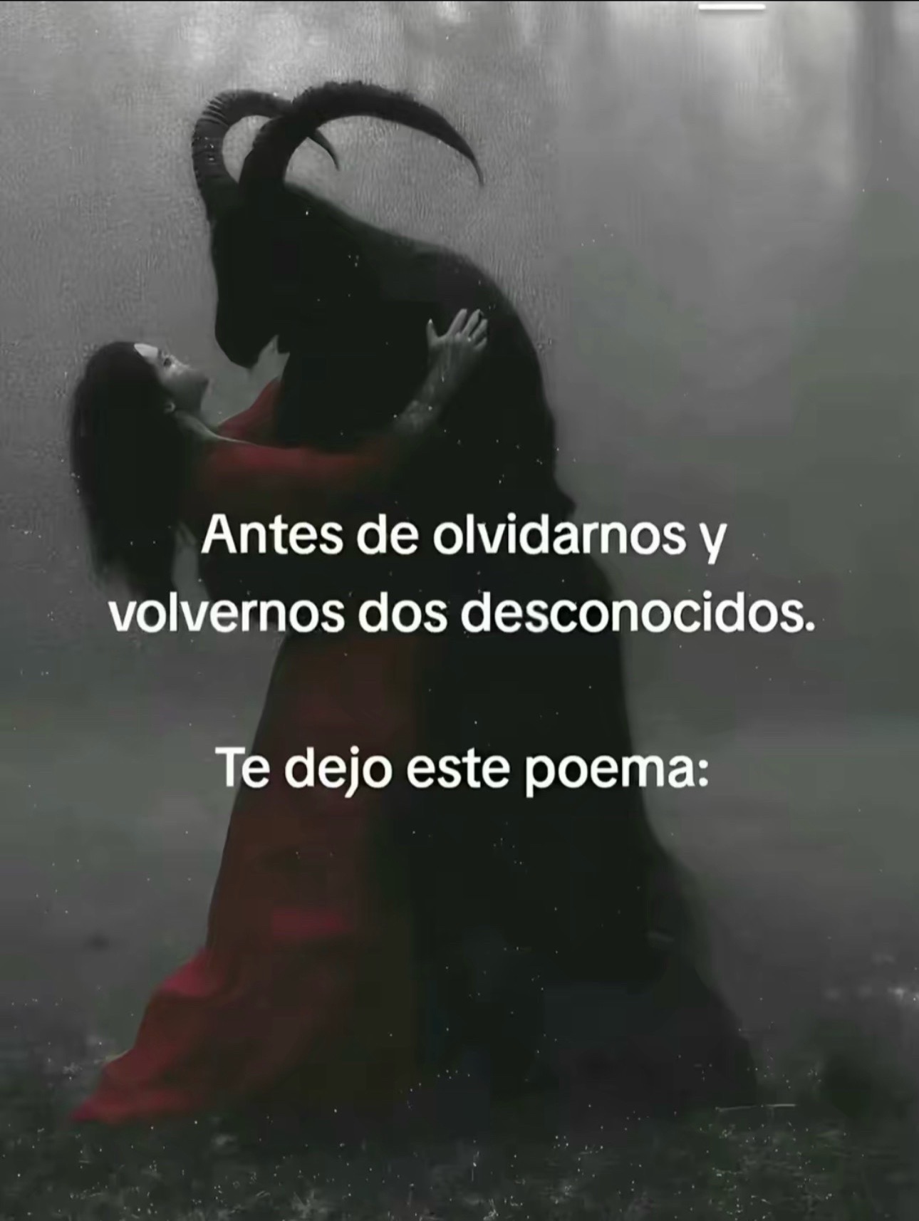 @latormenta.tormenta
