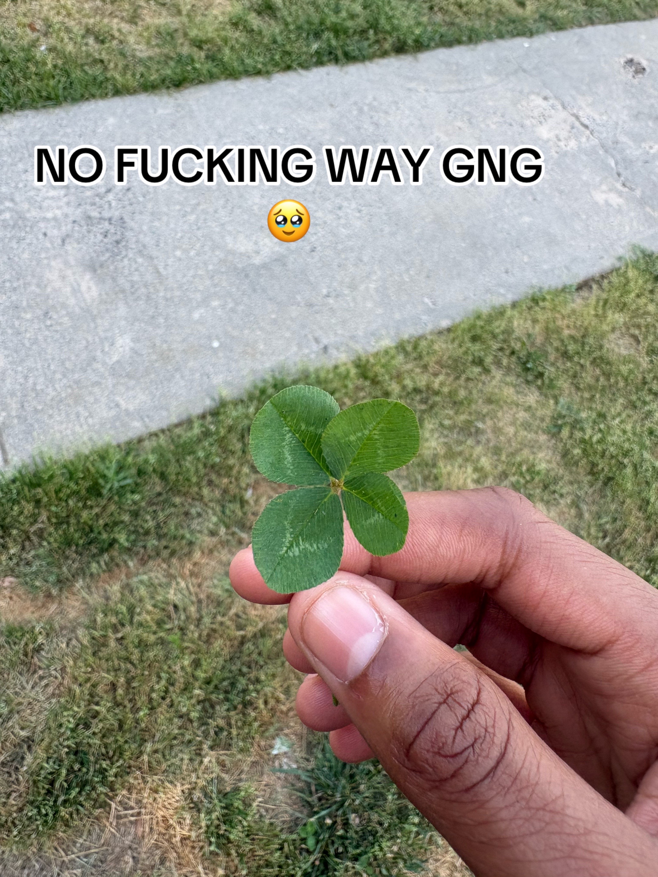 @⫷⟬𝘴𝘪𝘭𝘢𝘴⟭⫸