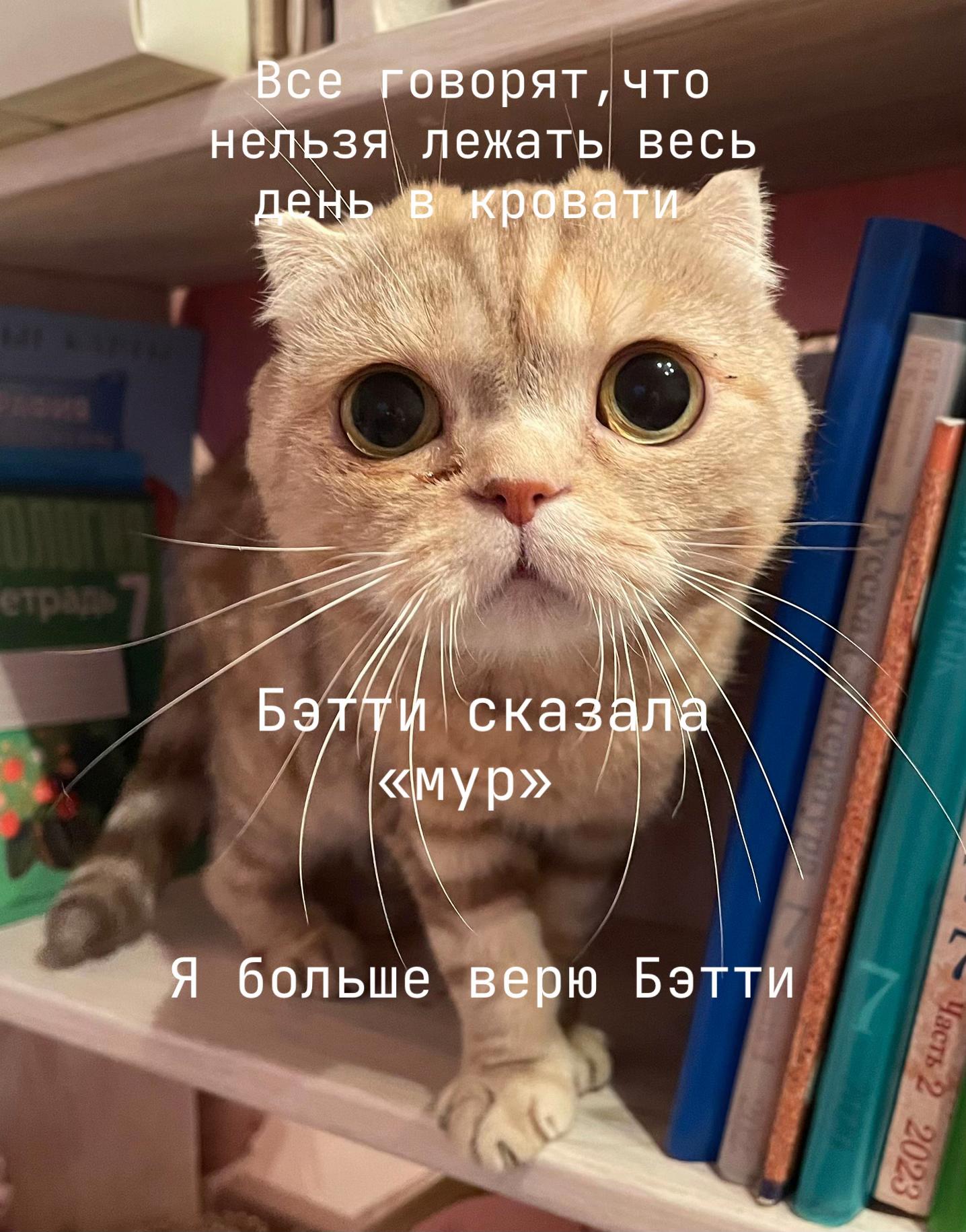 @Ritoriym