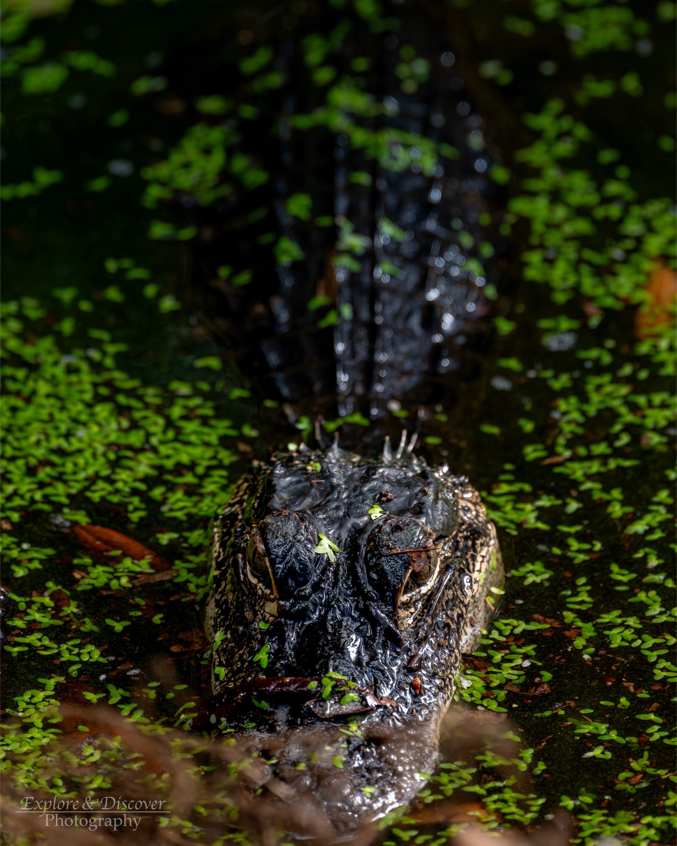 @explorediscoverphoto