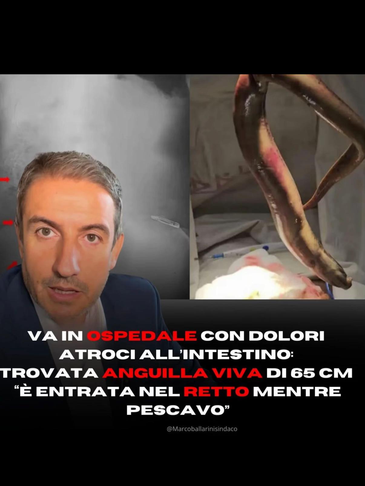 @Marco Ballarini Sindaco