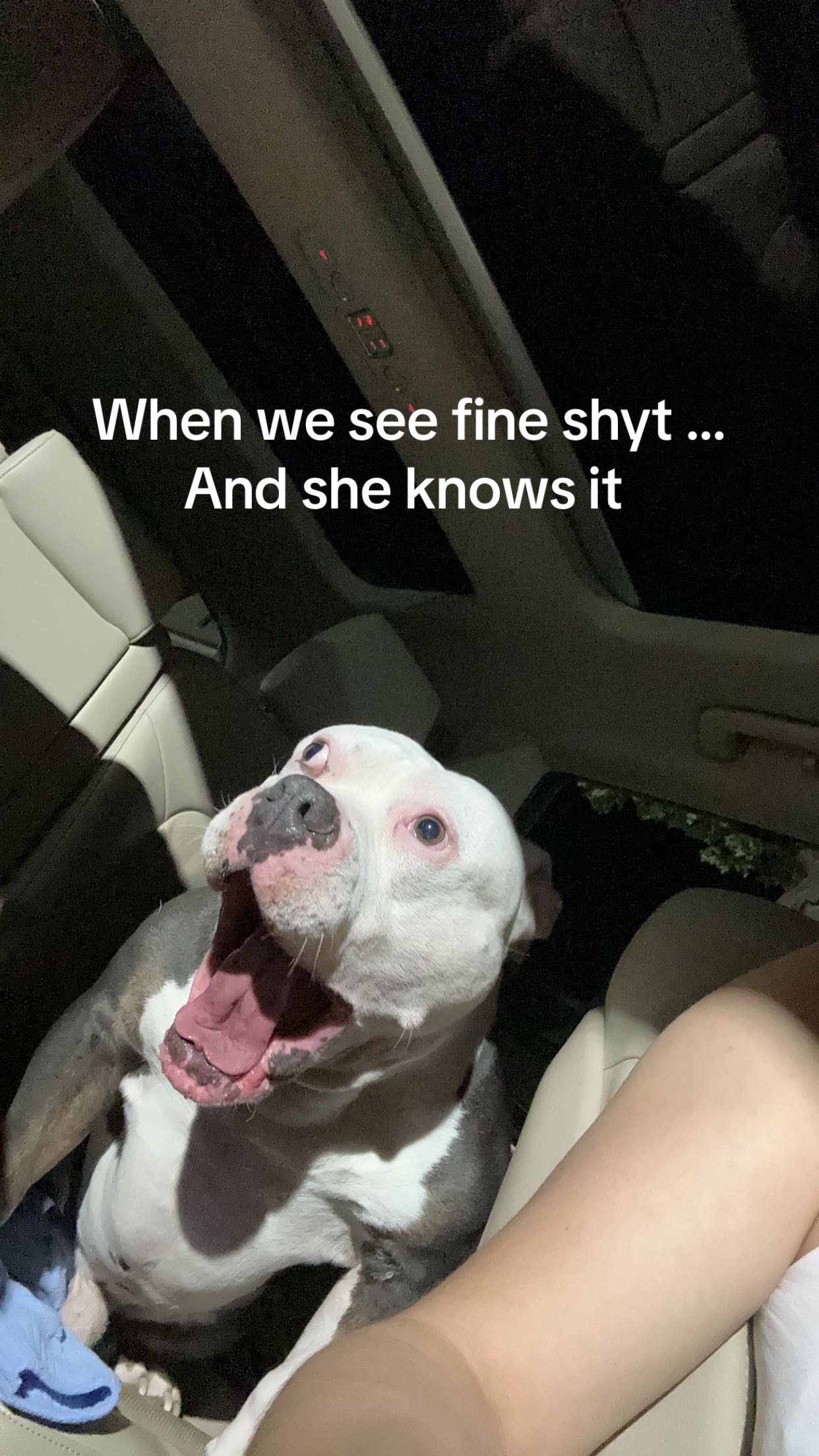 @augxoxo
