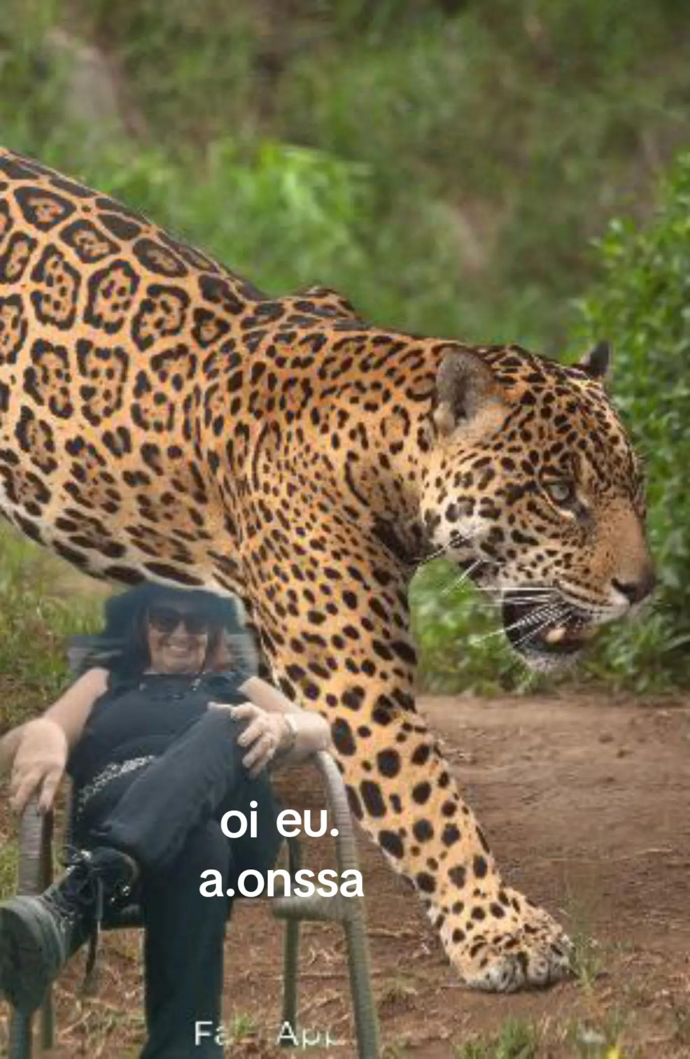 @idalina de fatima