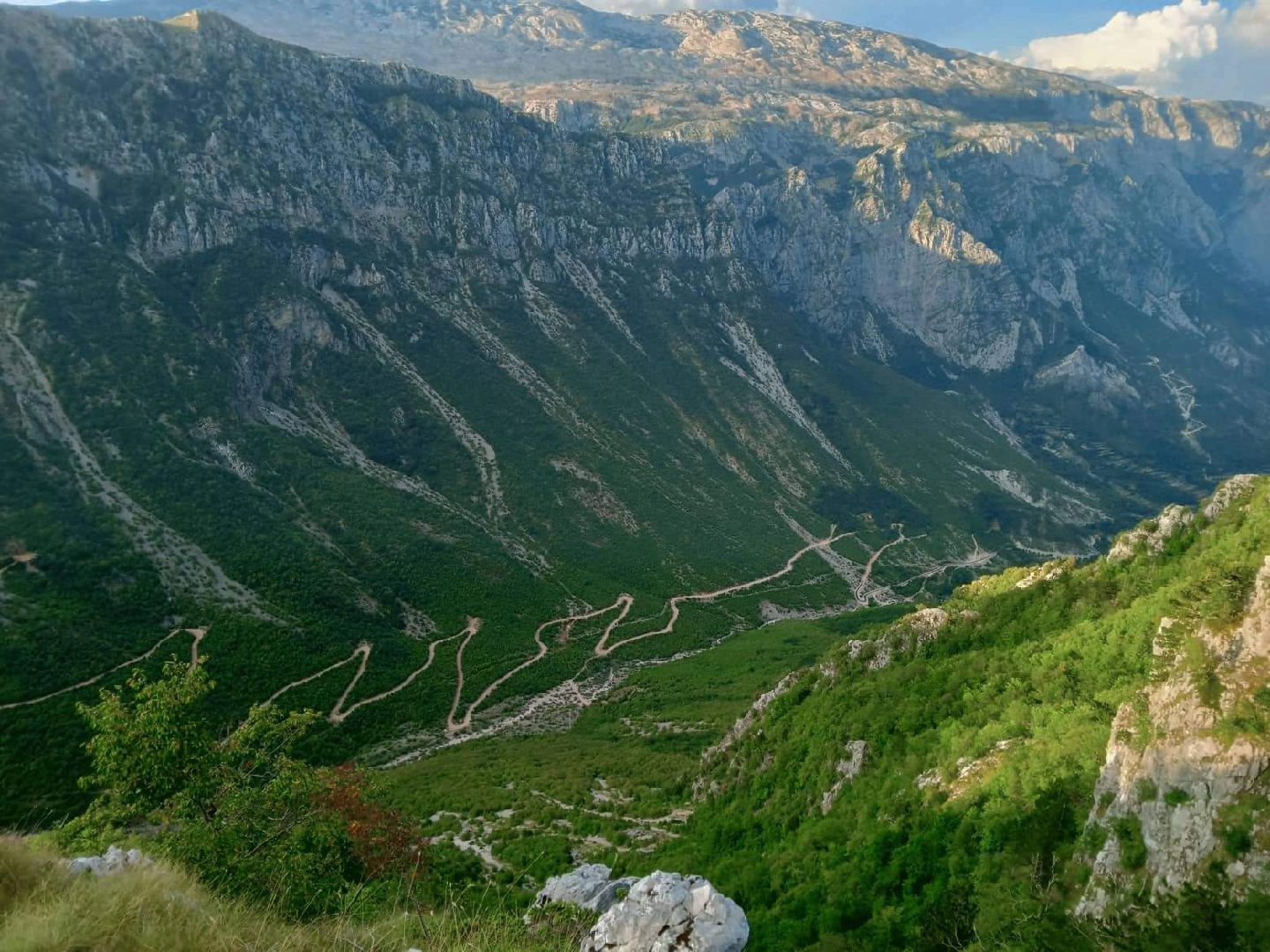 @Drežnica
