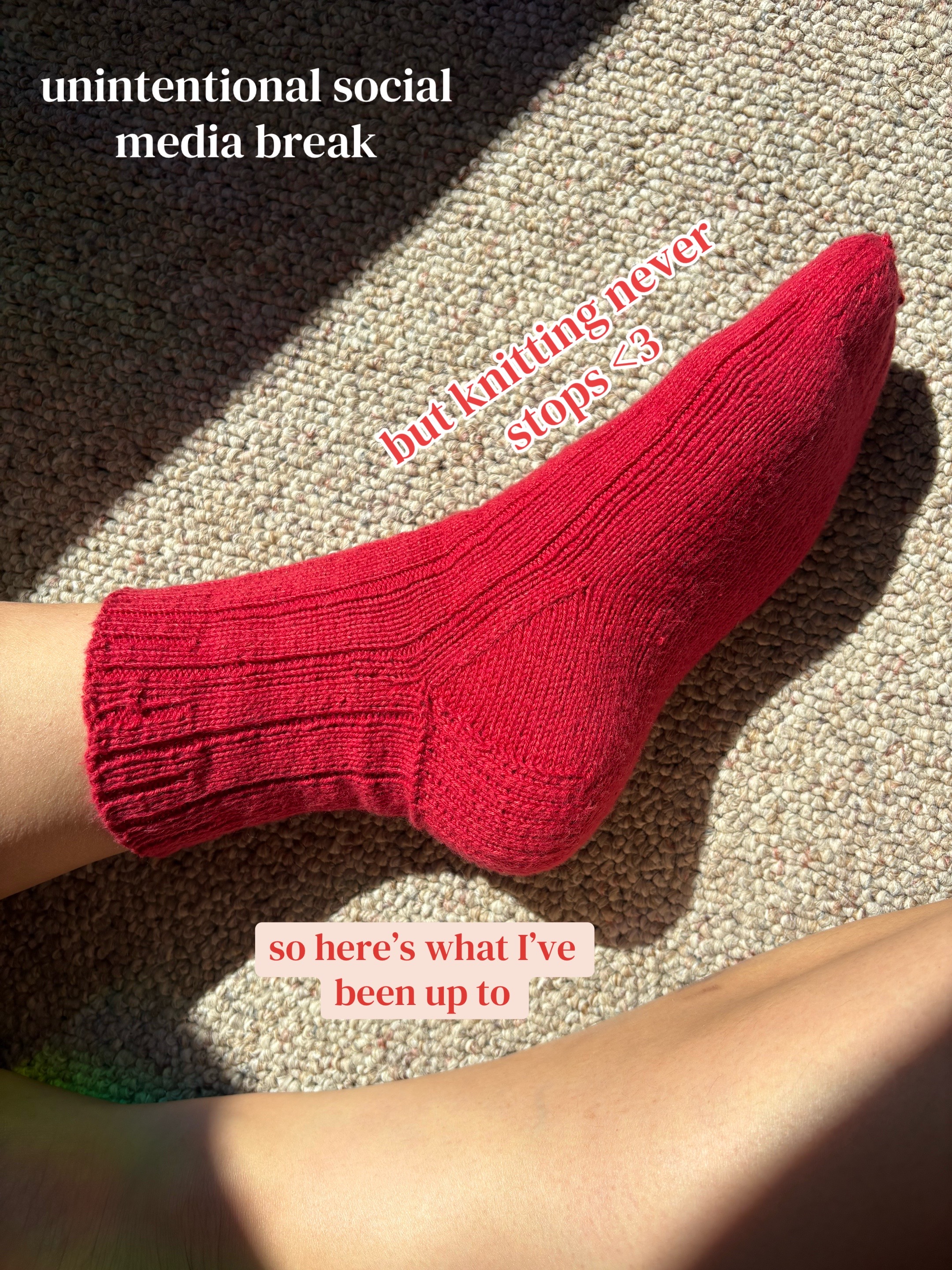 @⋆˙⟡ katie | softwearknits ⋆˙⟡
