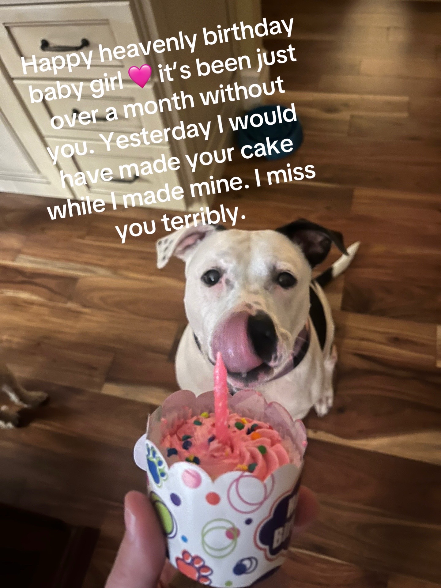 @Ali 🆘🕯️