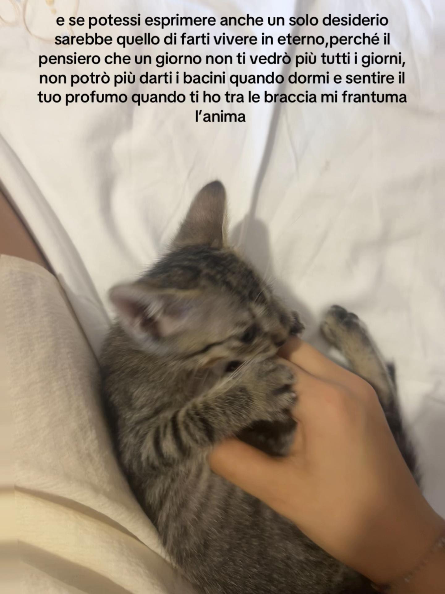 @Ernestina💗💫