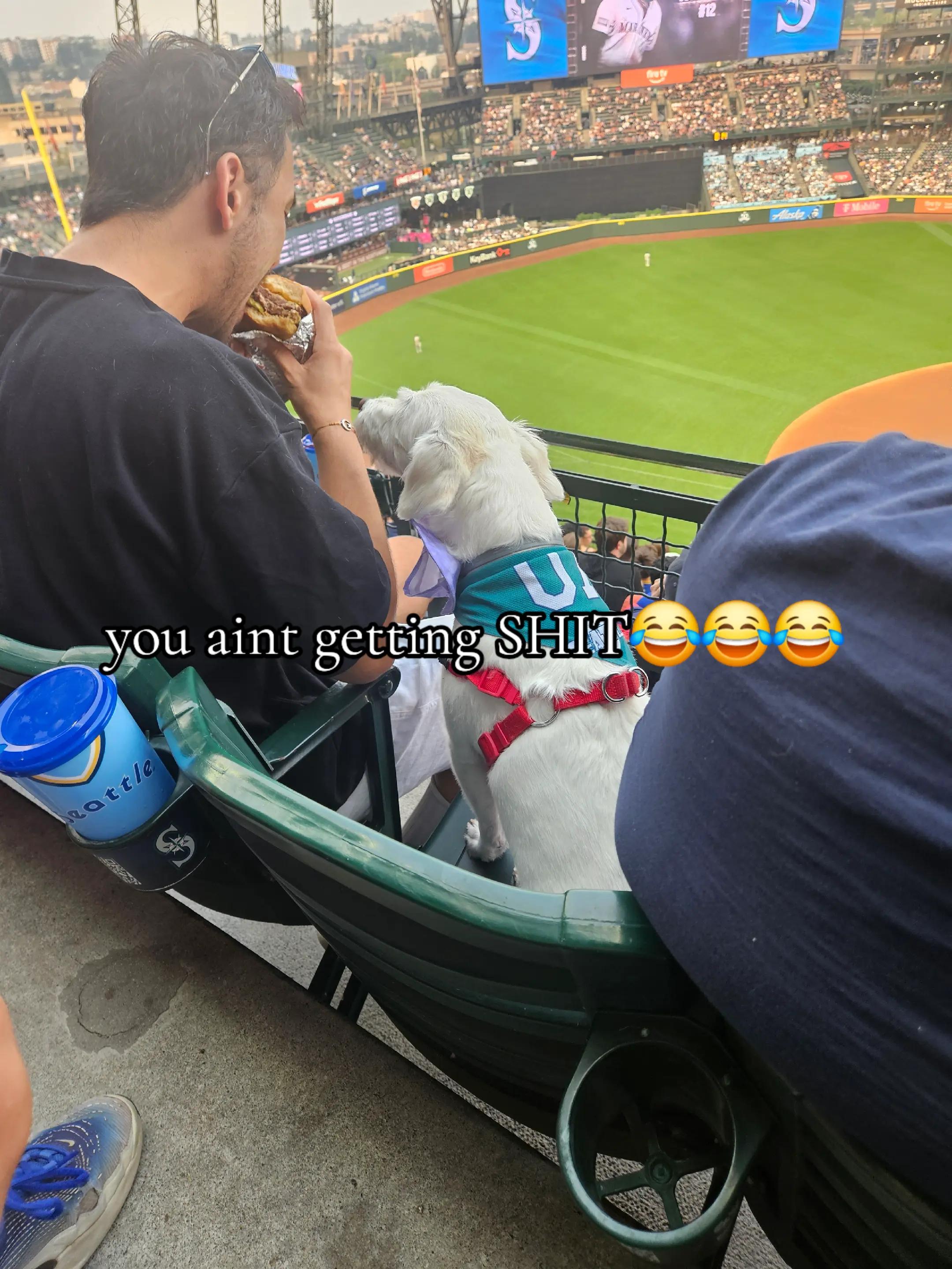 @Dani