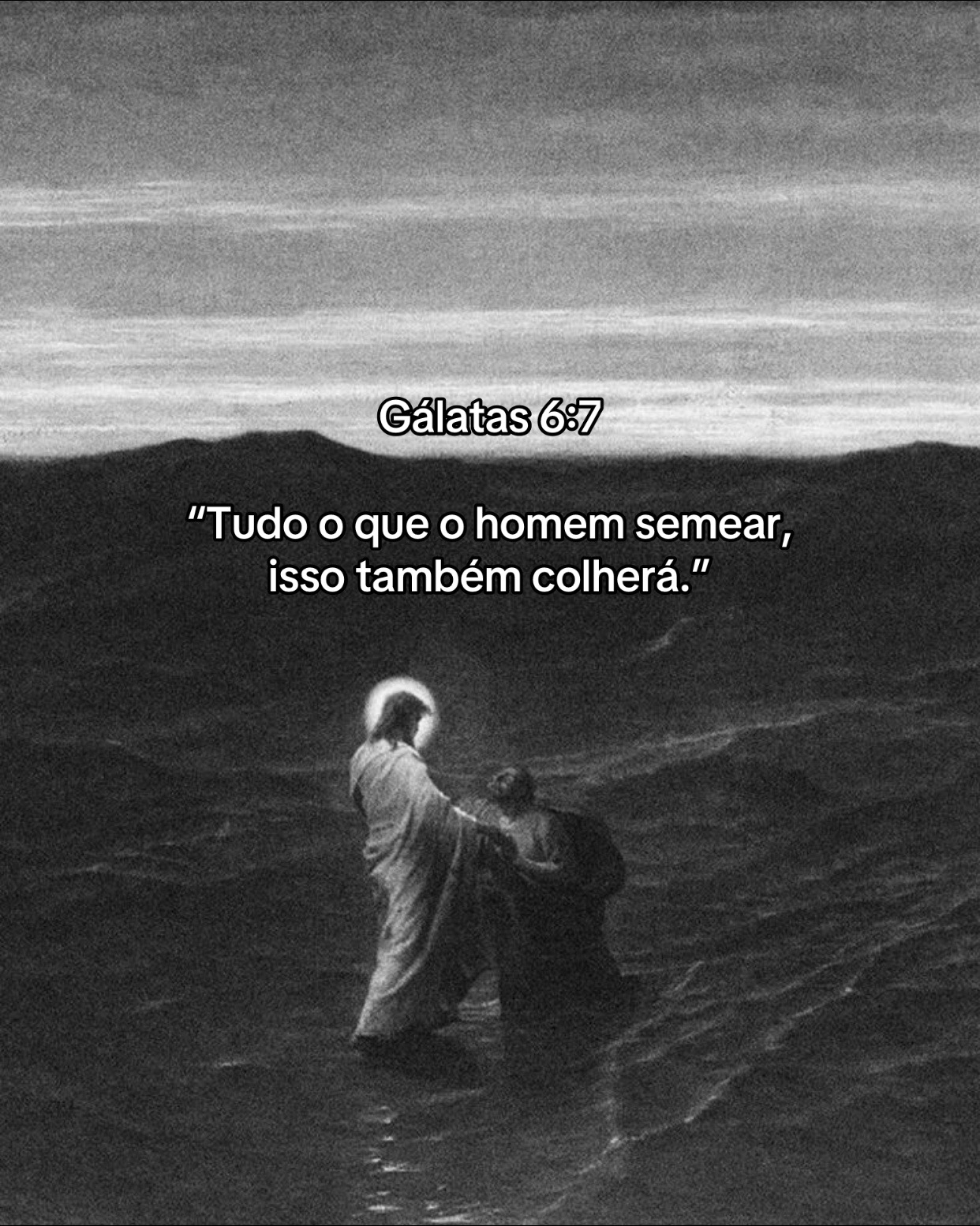 @tiagosilva_56