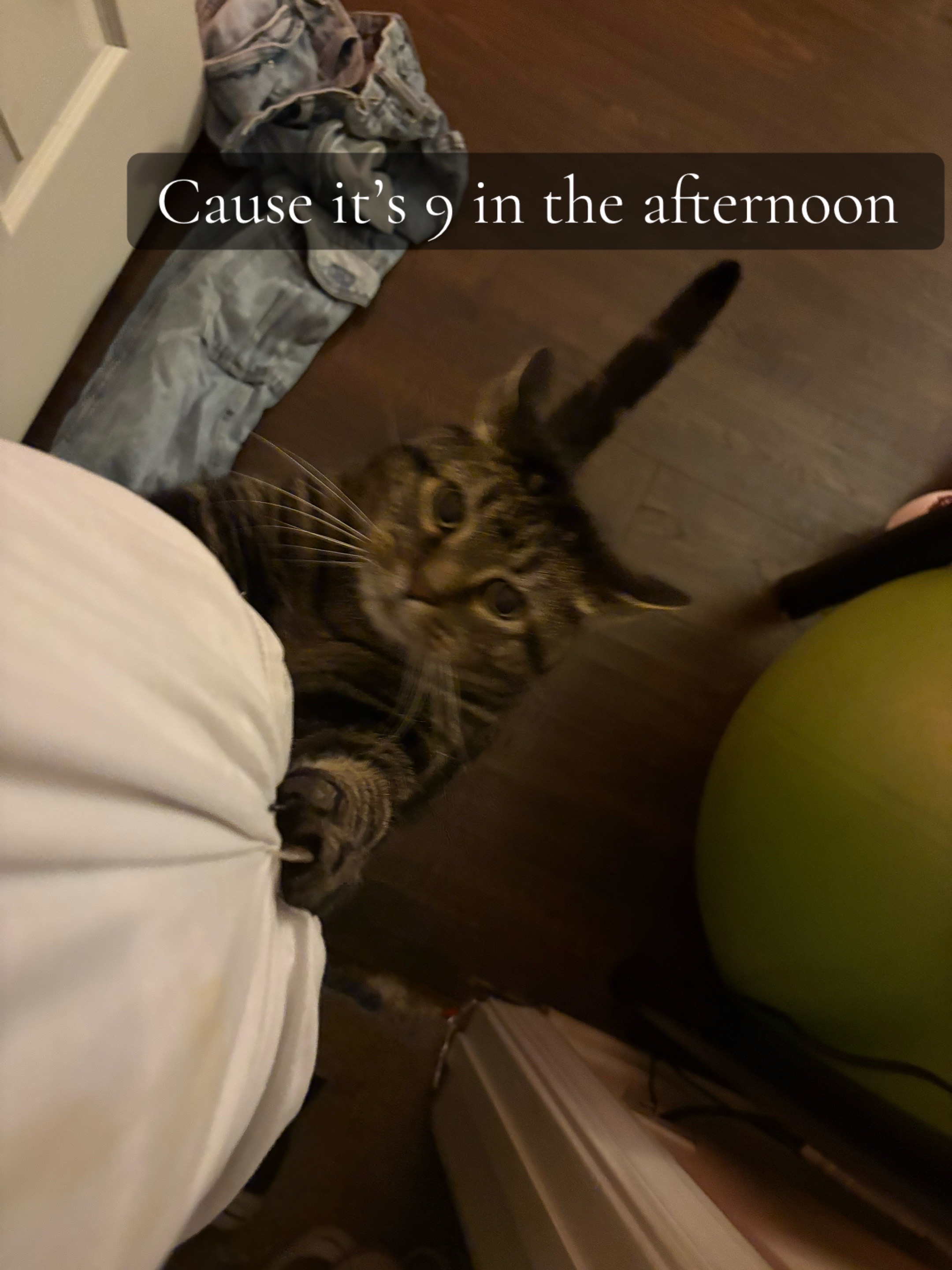 @Alexa<3