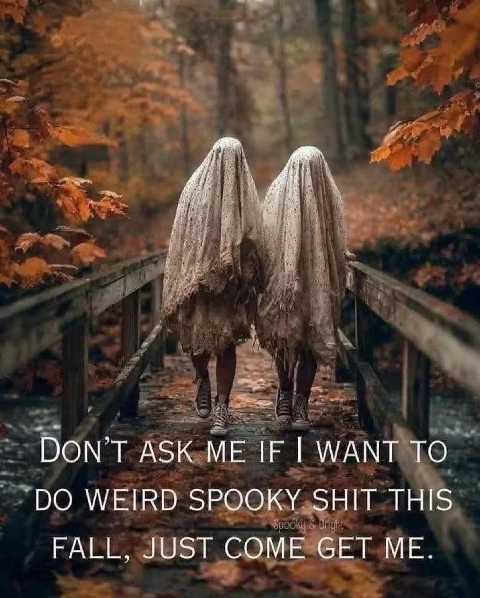 @AndreaSue