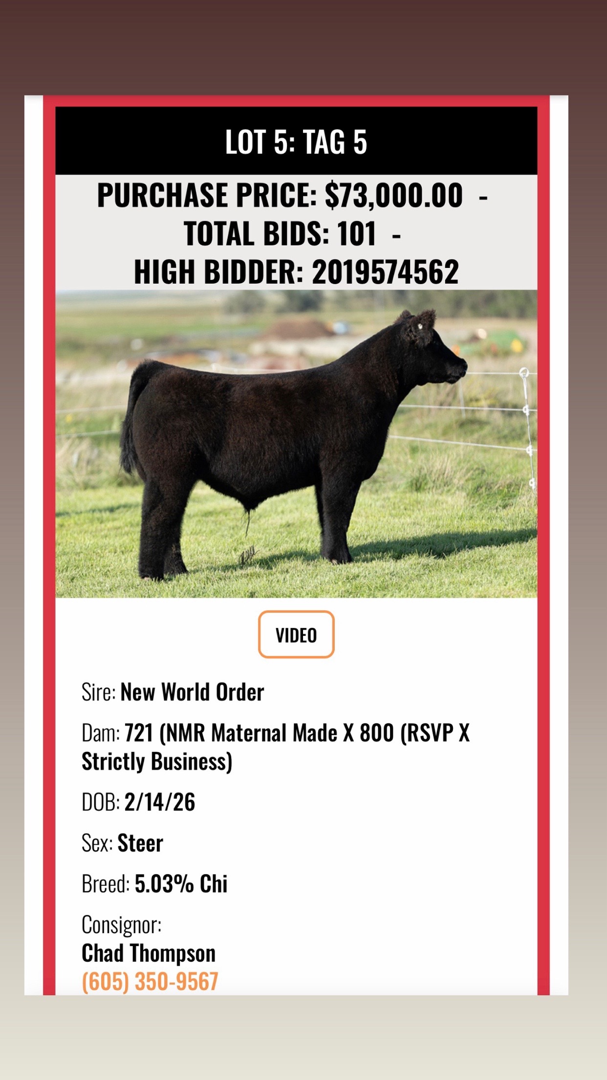 @Matt Lautner Cattle USA
