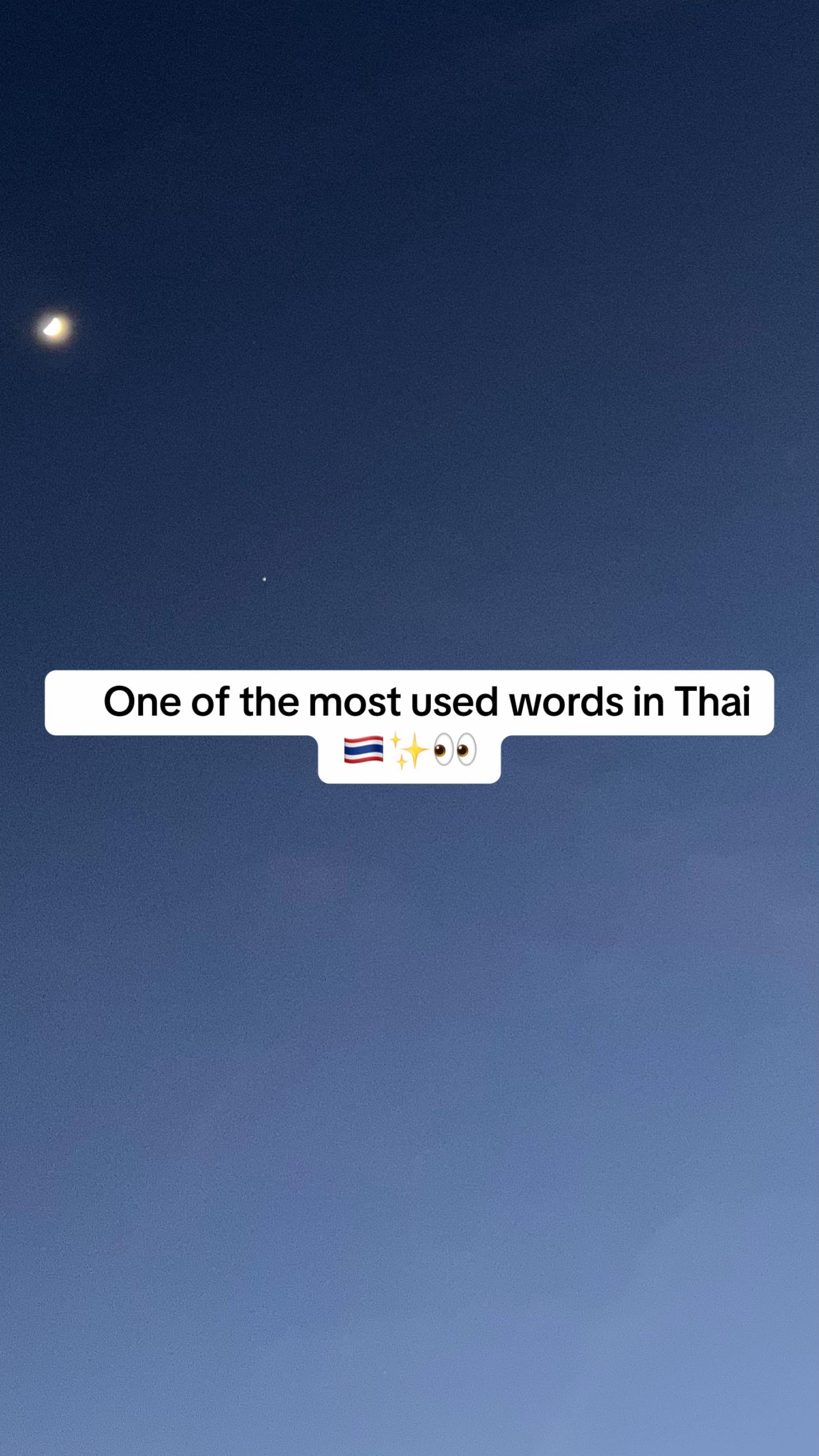 @moniCe &bull; โมนิ