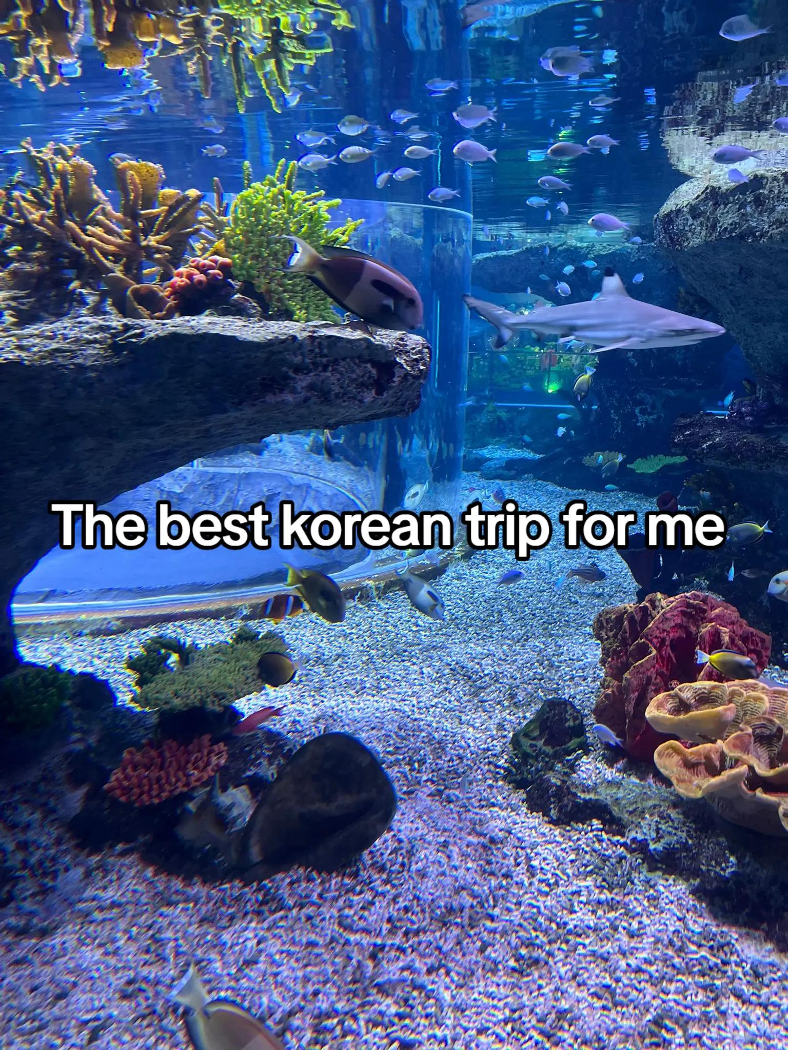 @Yena in Korea