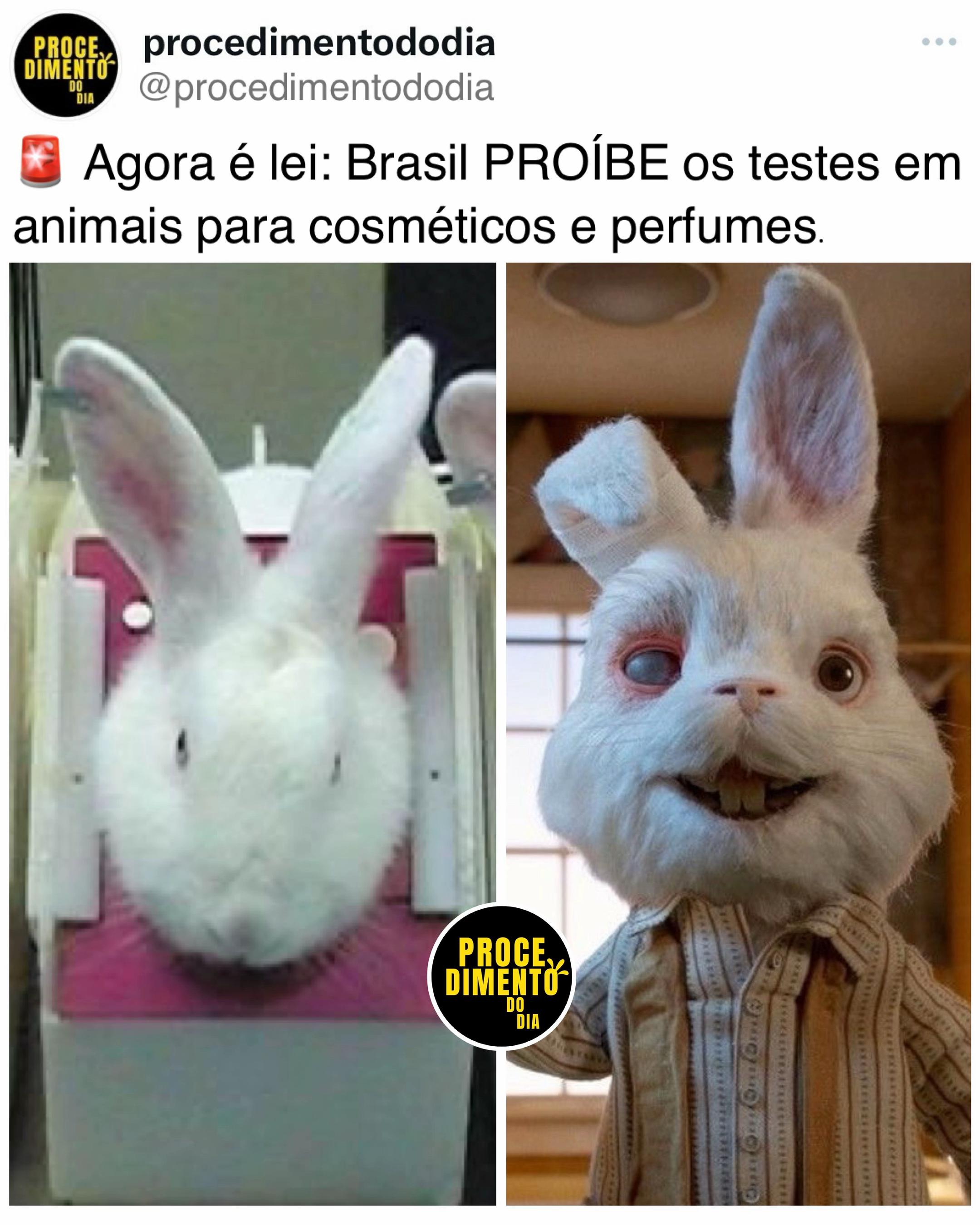 @procedimentododia