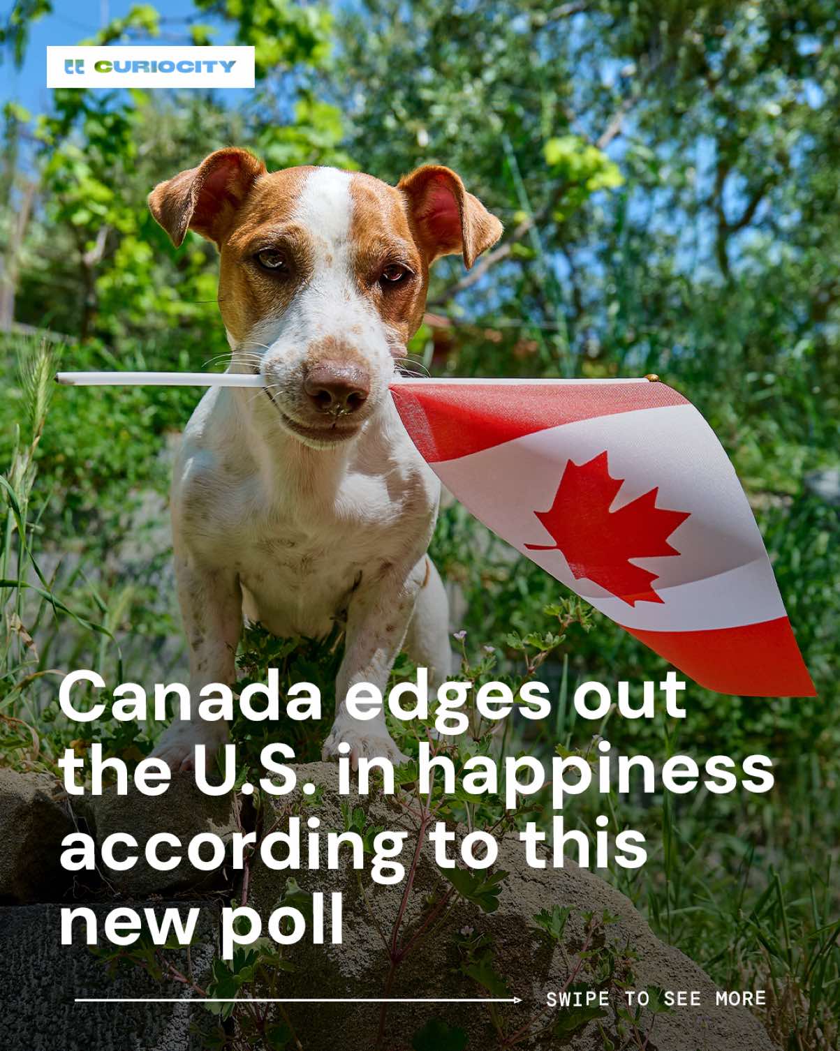 @Curiocity Canada