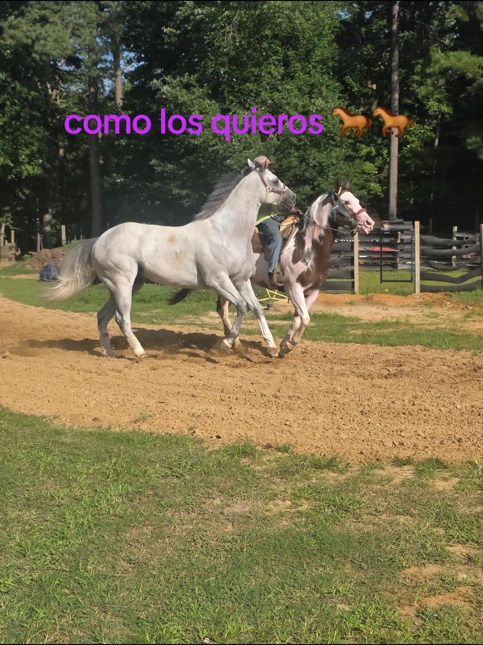 @Rosa Ramirez