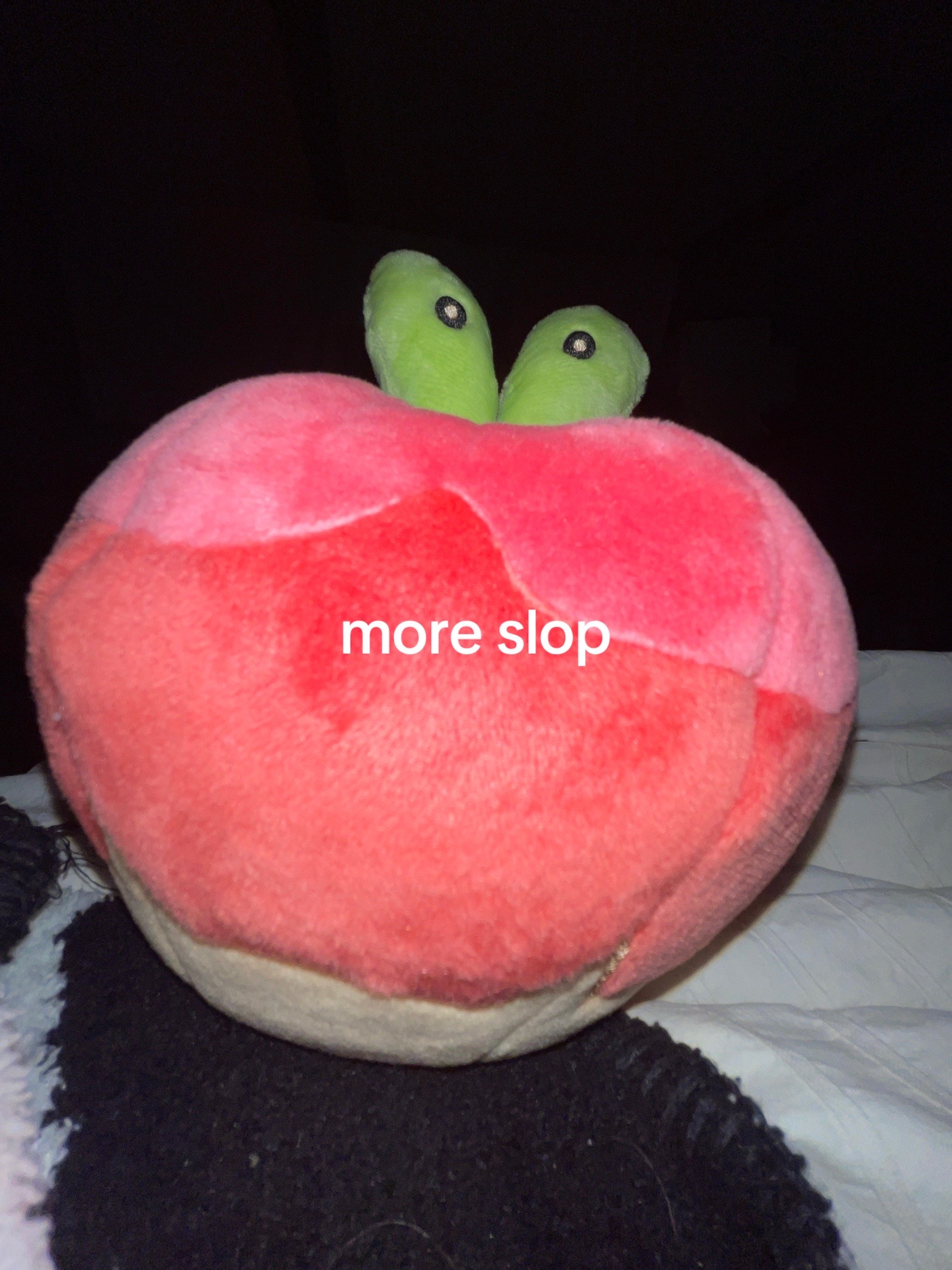 @🩹ॱ. &iota;&epsilon;&sigma; ﾐ 𓍢ִ໋