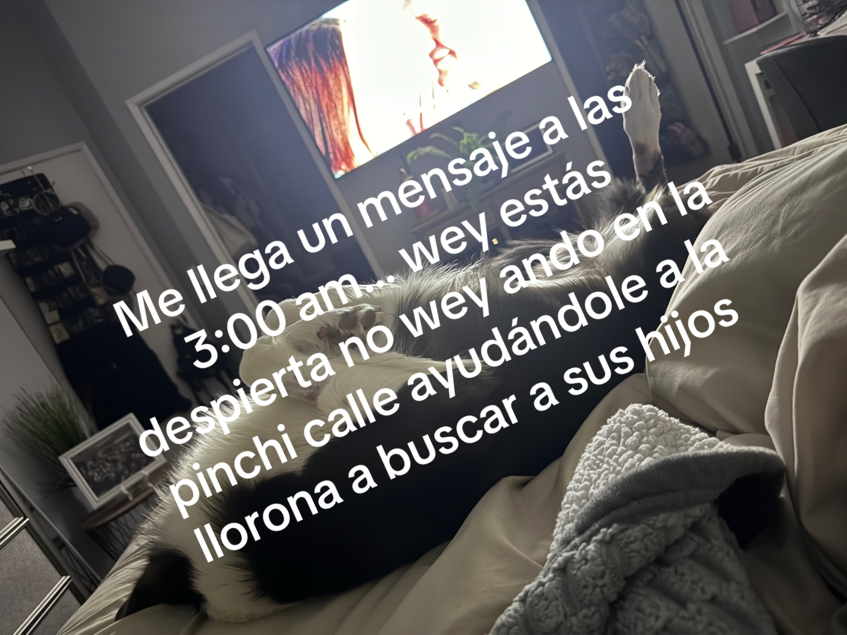 @Denisse Moreno