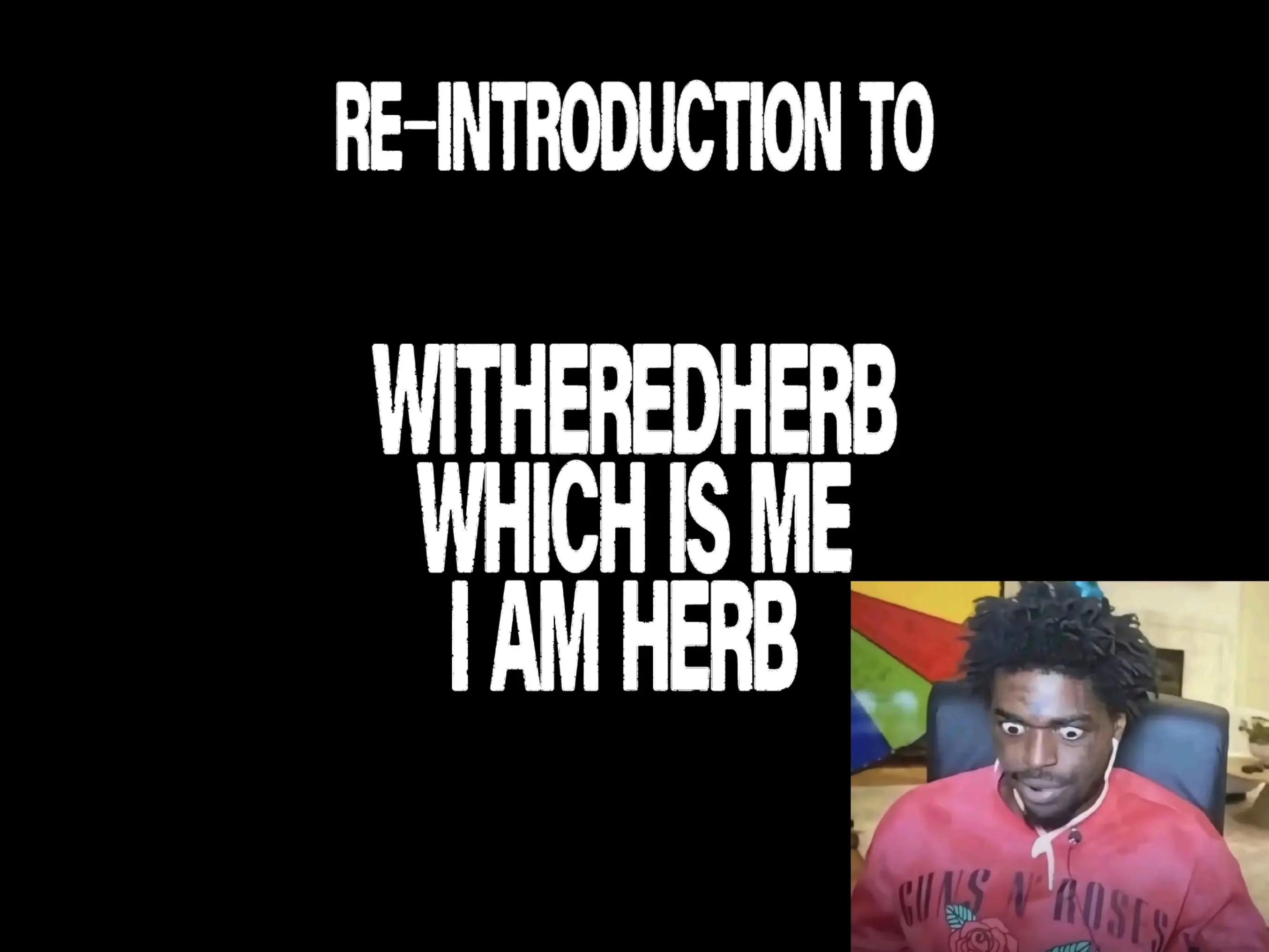 @Herbbb 🪩