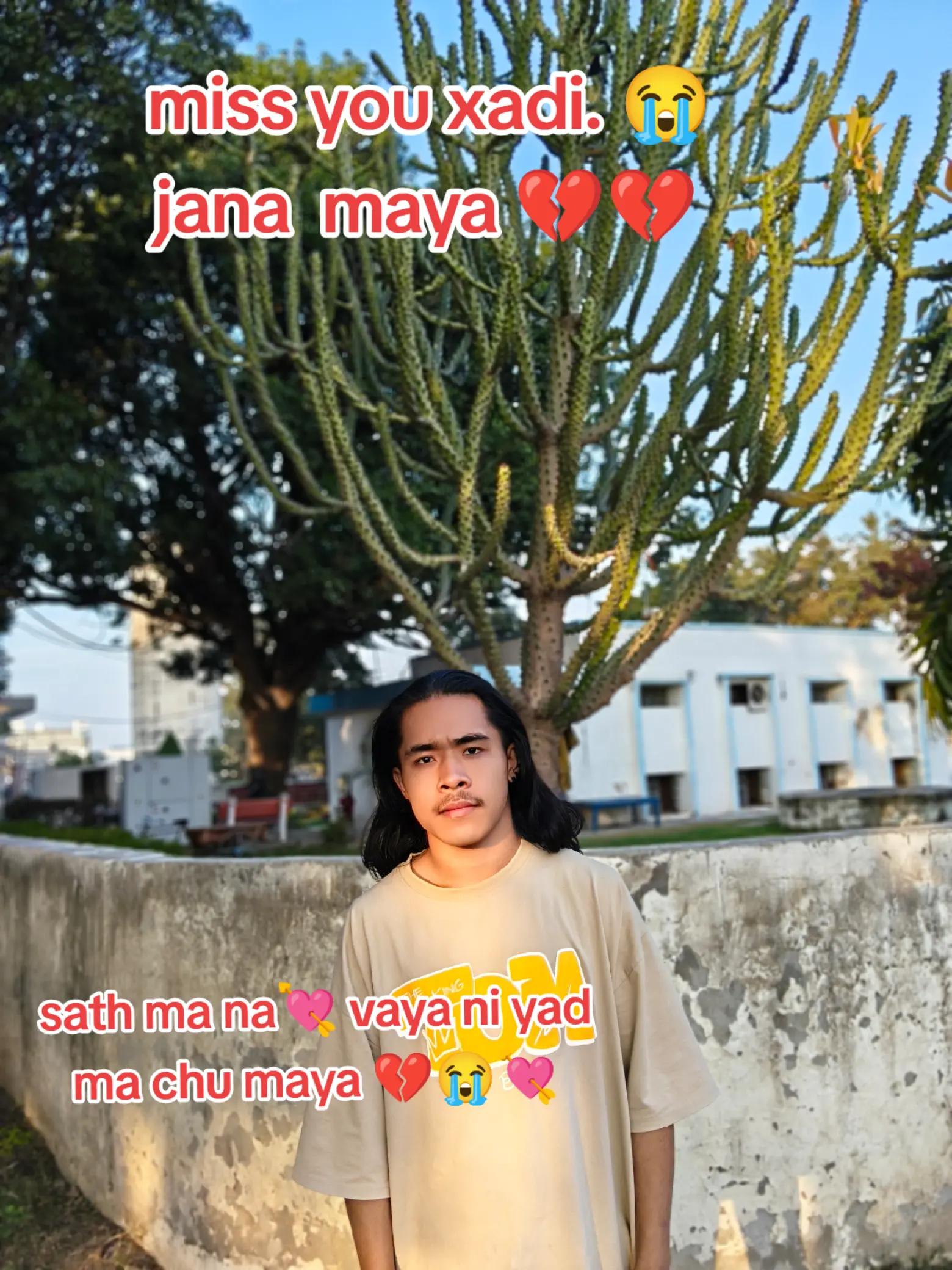 @singal boy✅🥰