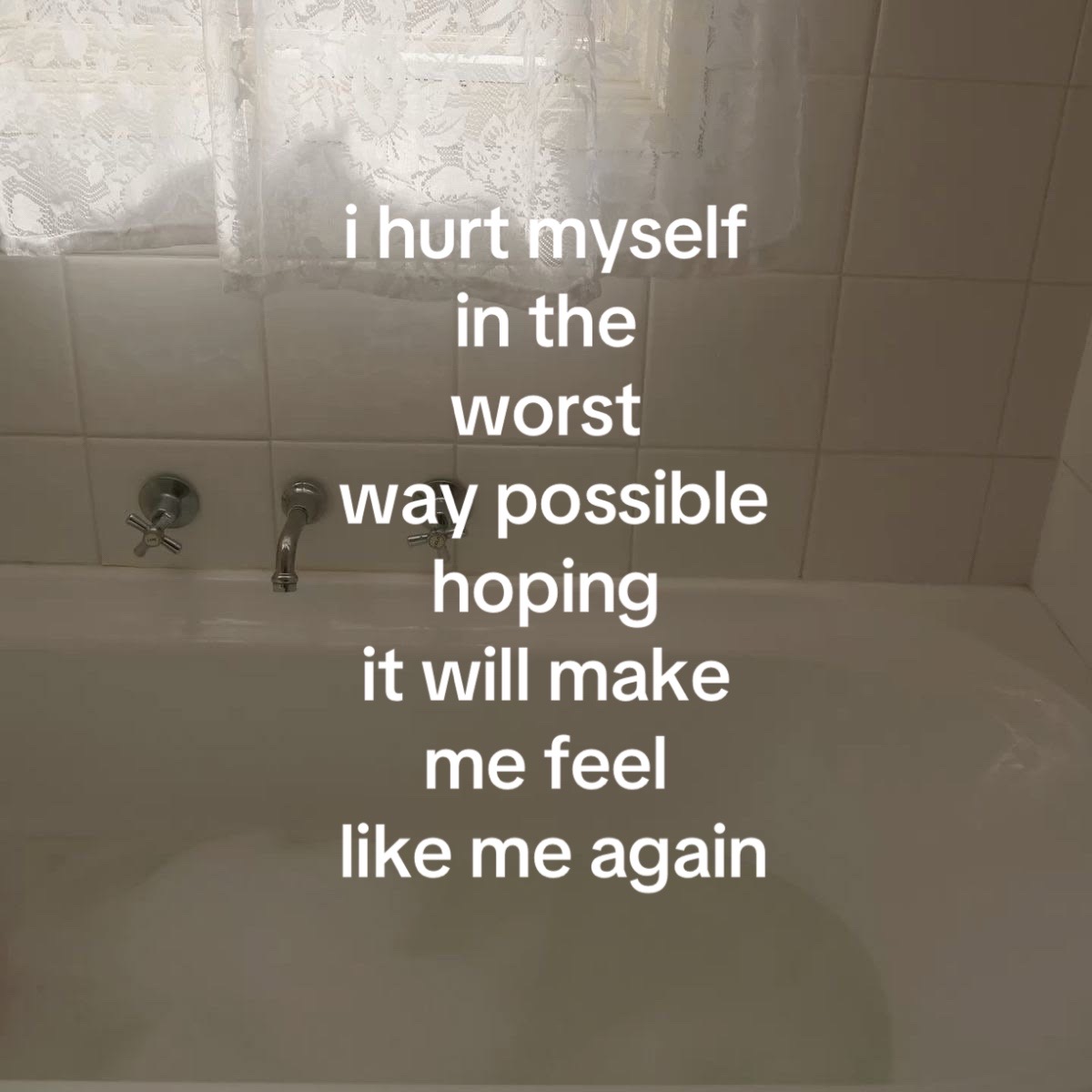 @🪽