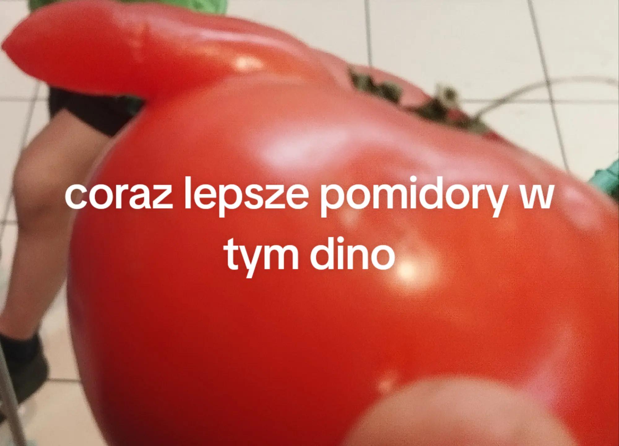 @DOLLER