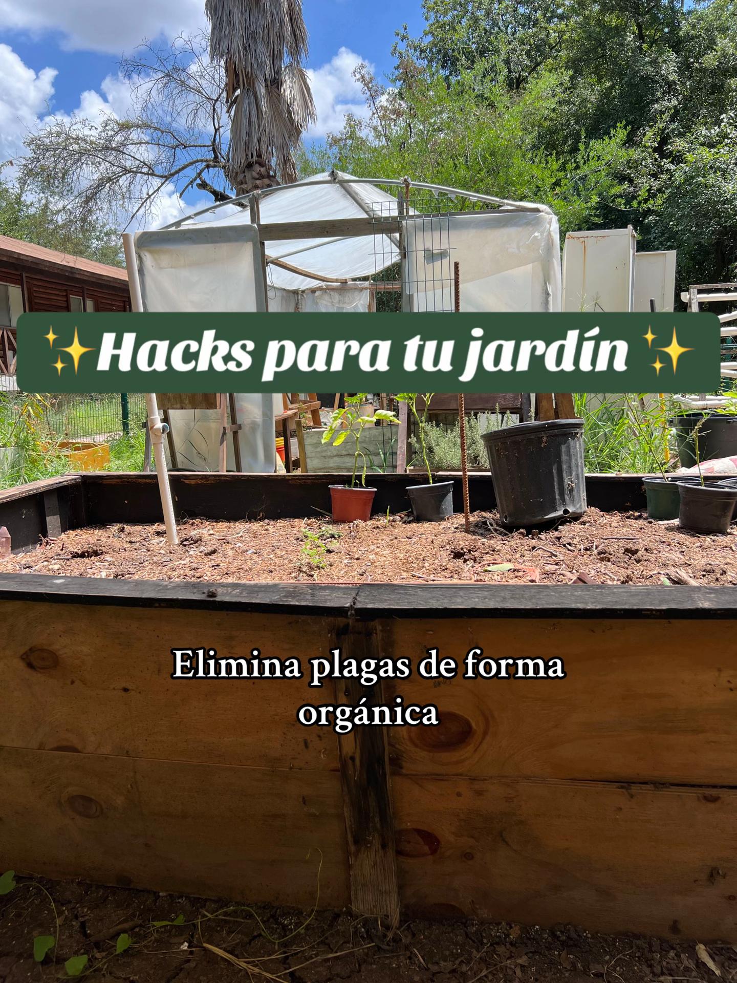 @Local Garden Mty