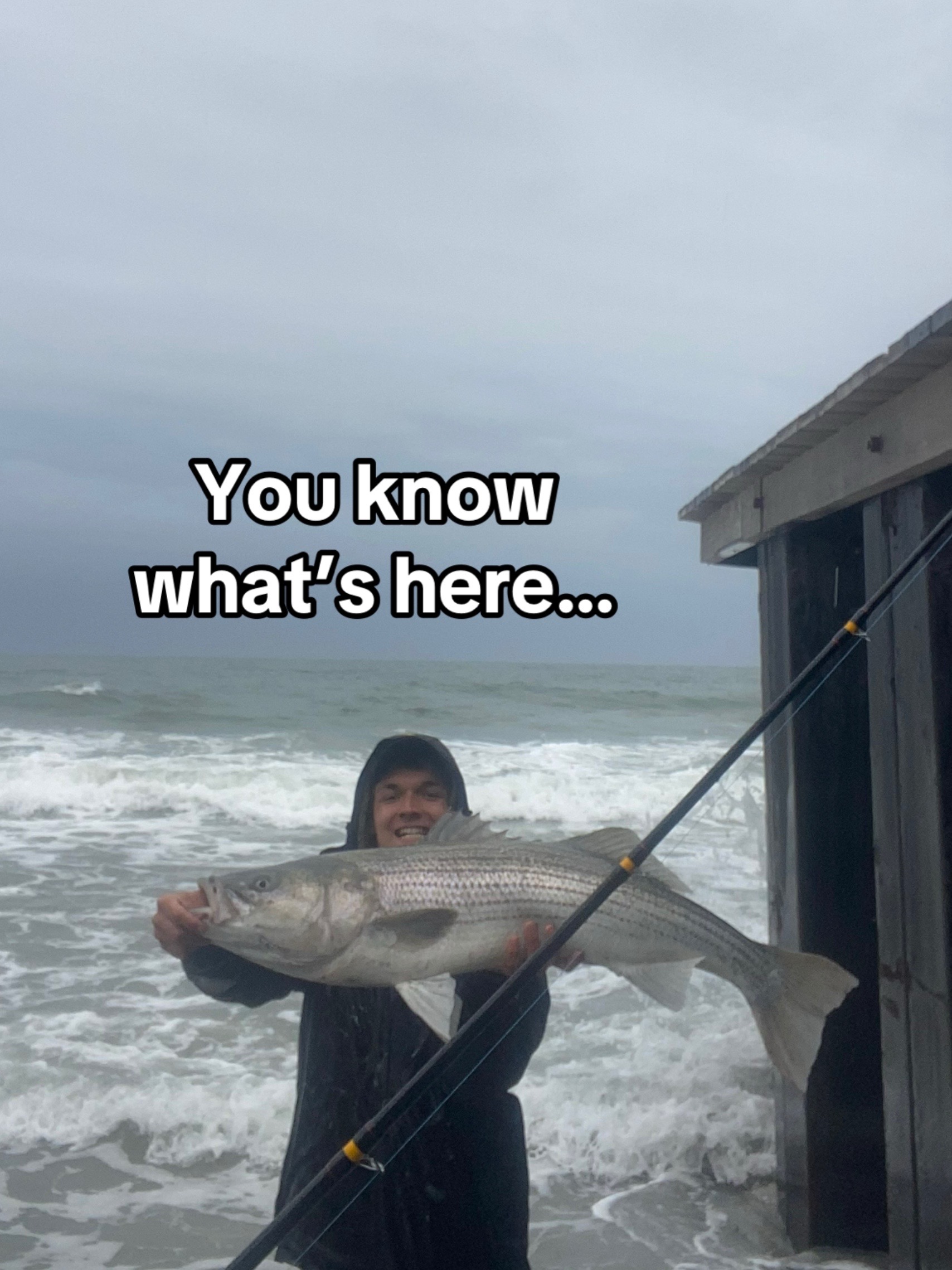 @Fish The East