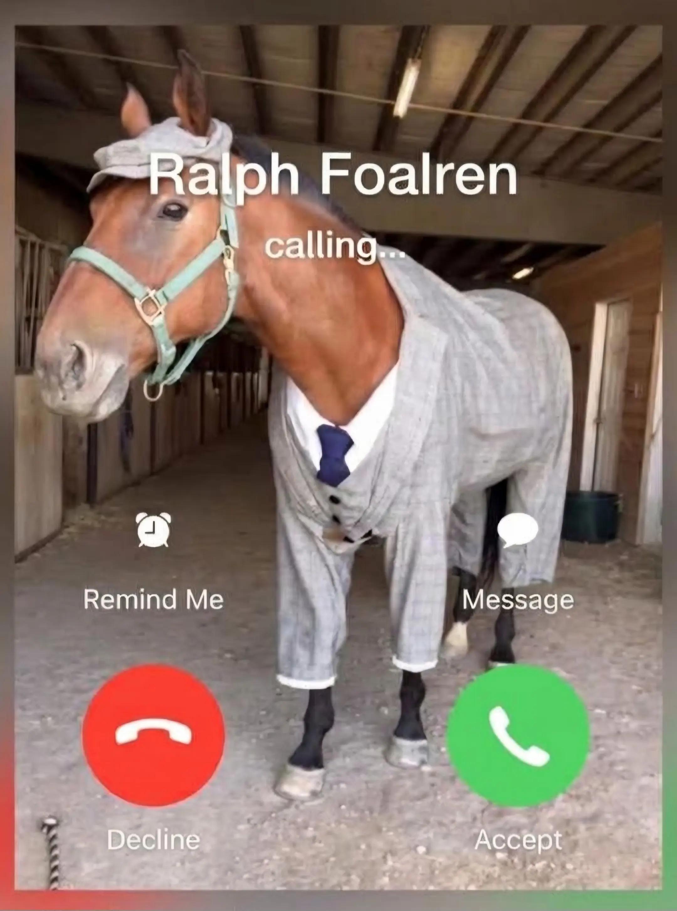 @streamhorse