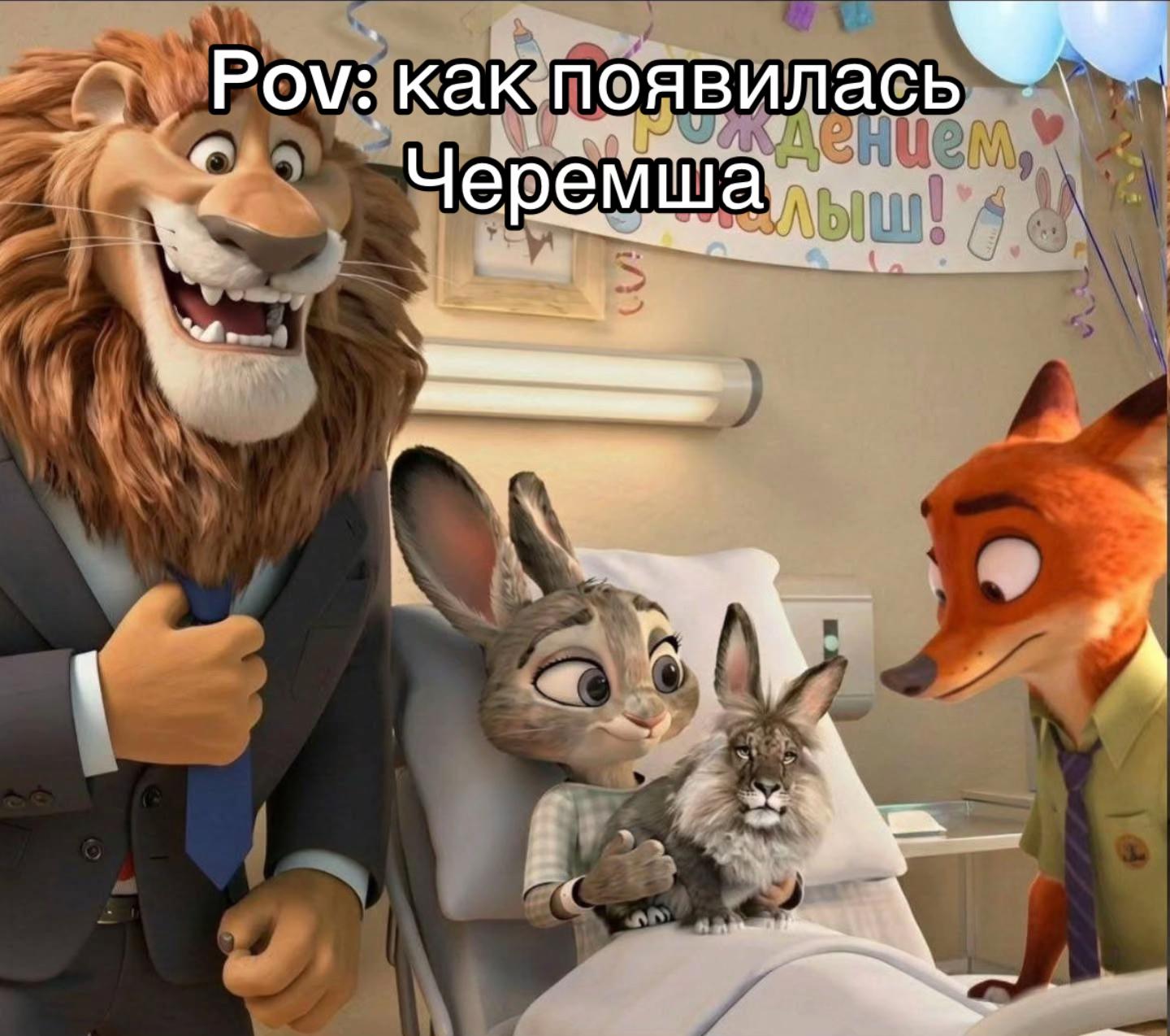 @brendiiier