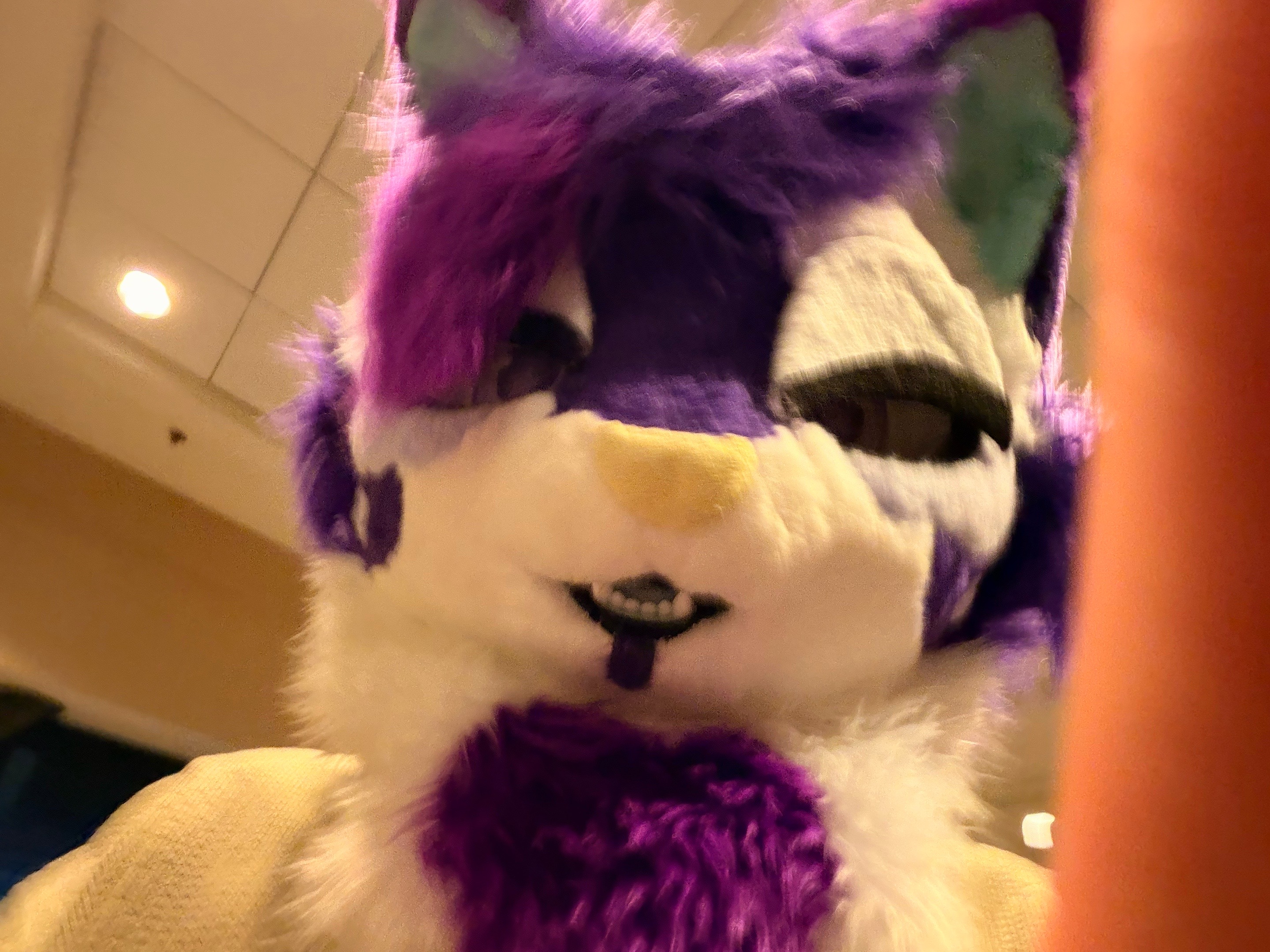@Starlight @ FWA