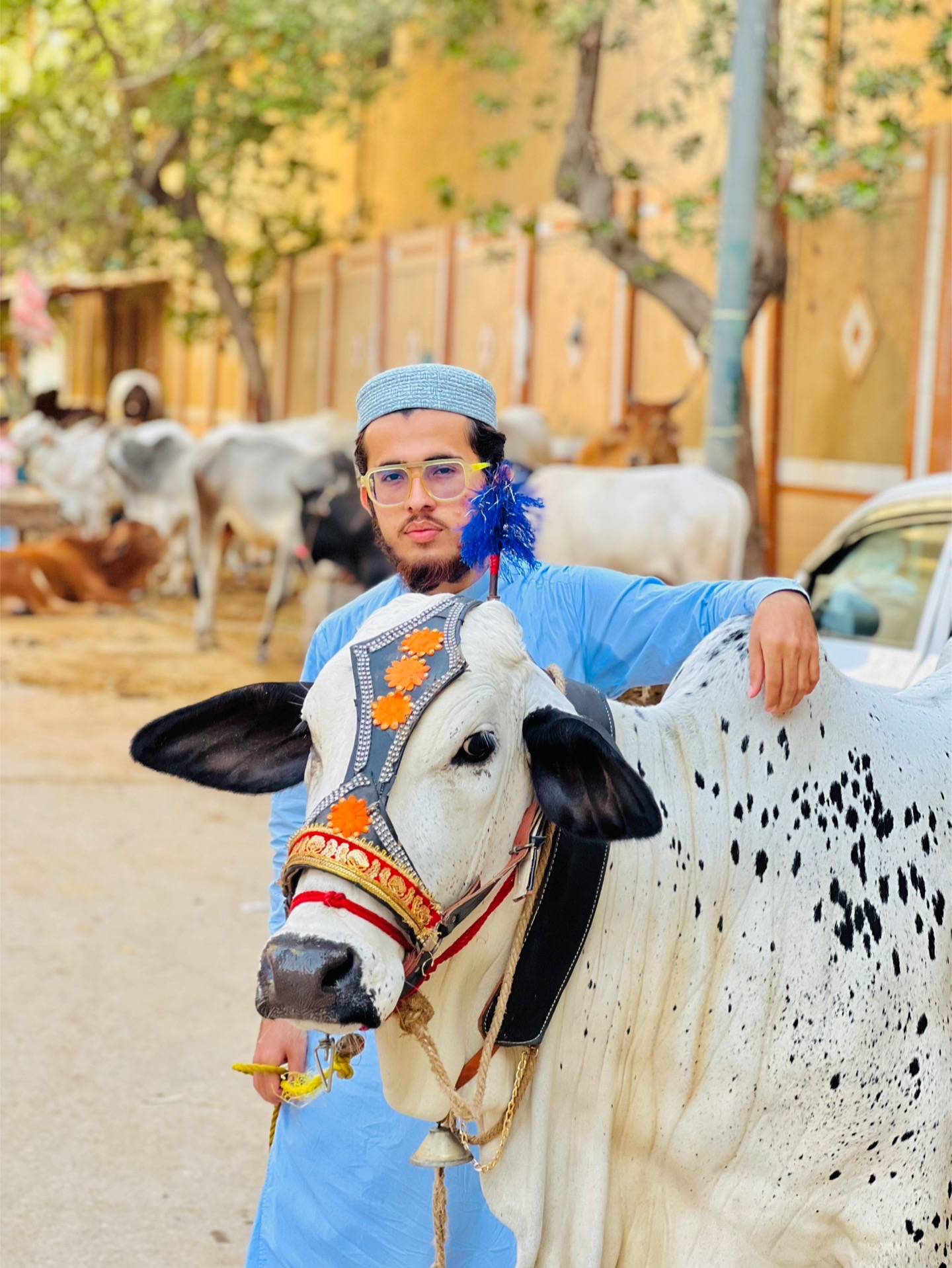 @عاصم حنفی🦋