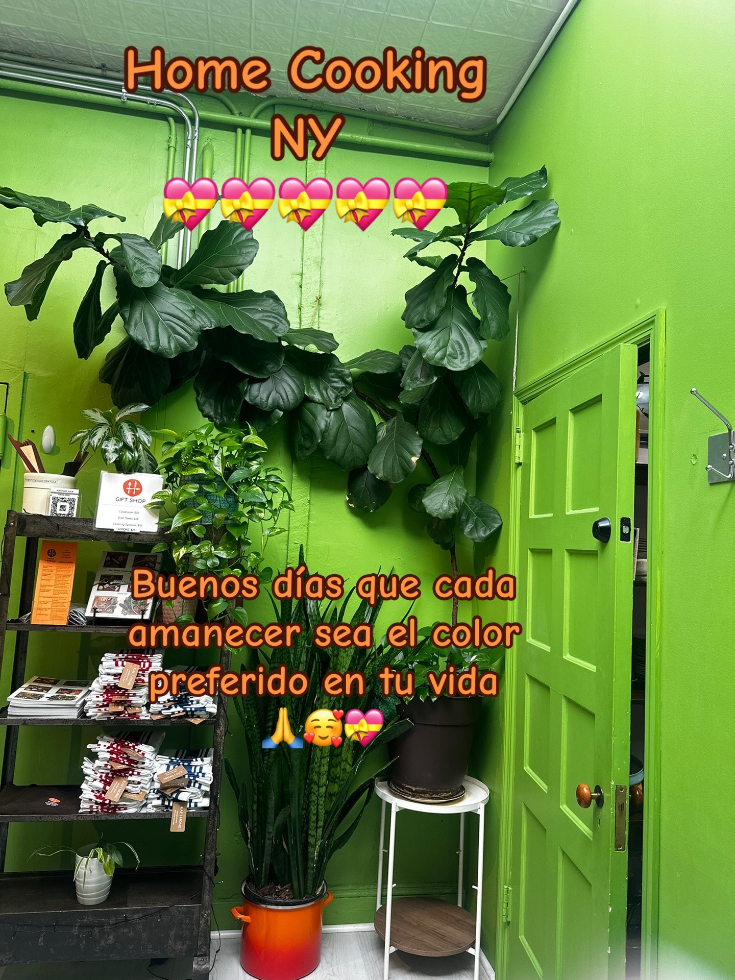 @Flor 🌺