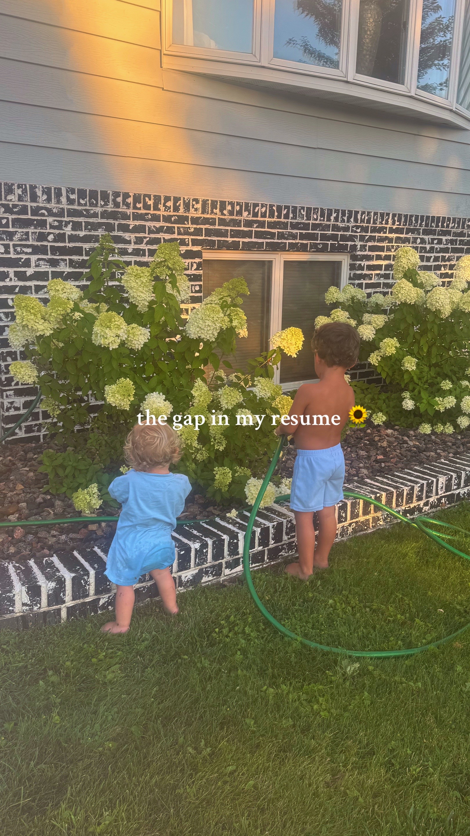 @JURNI ROSE