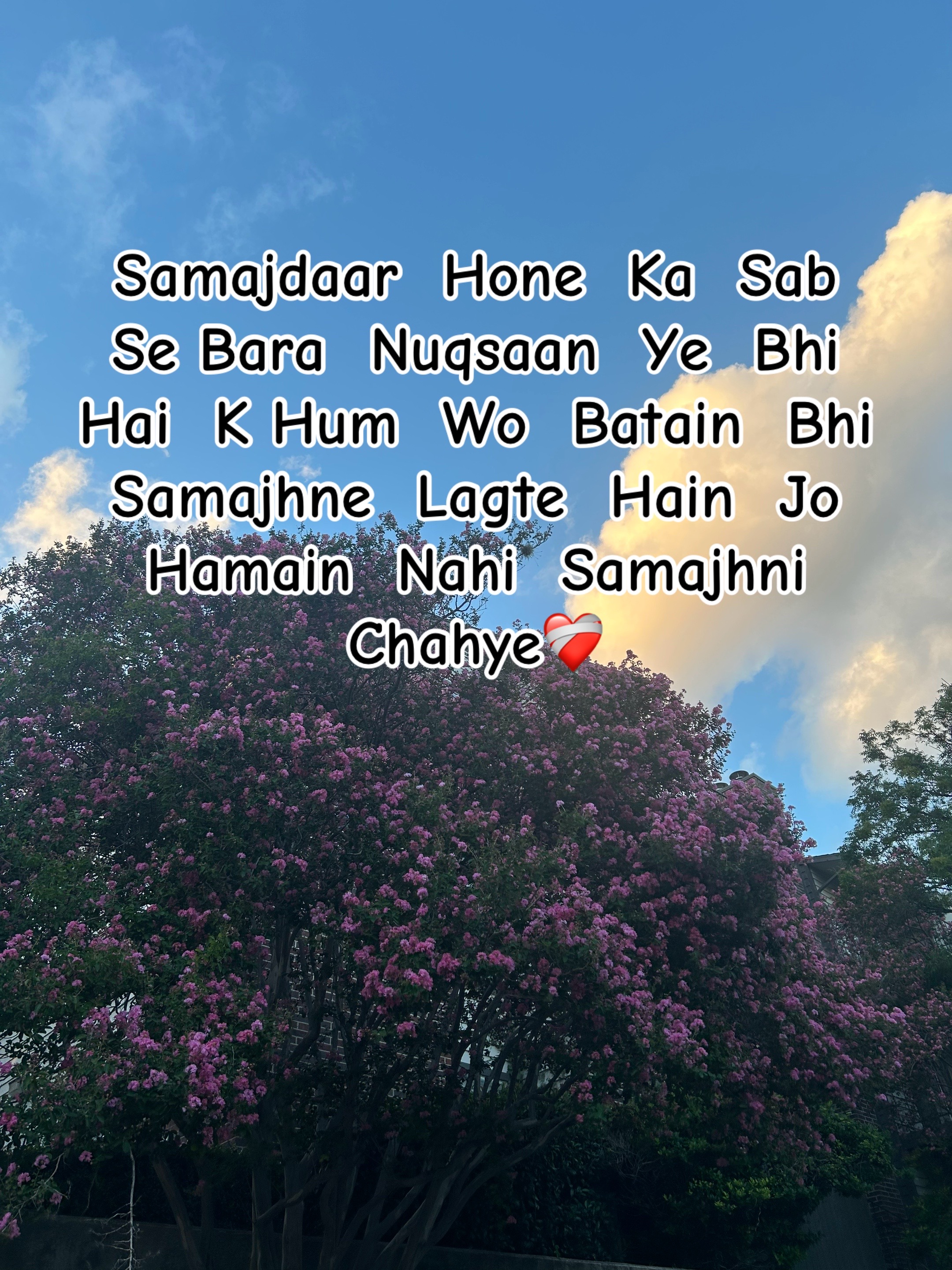 @ZaraHayat020104