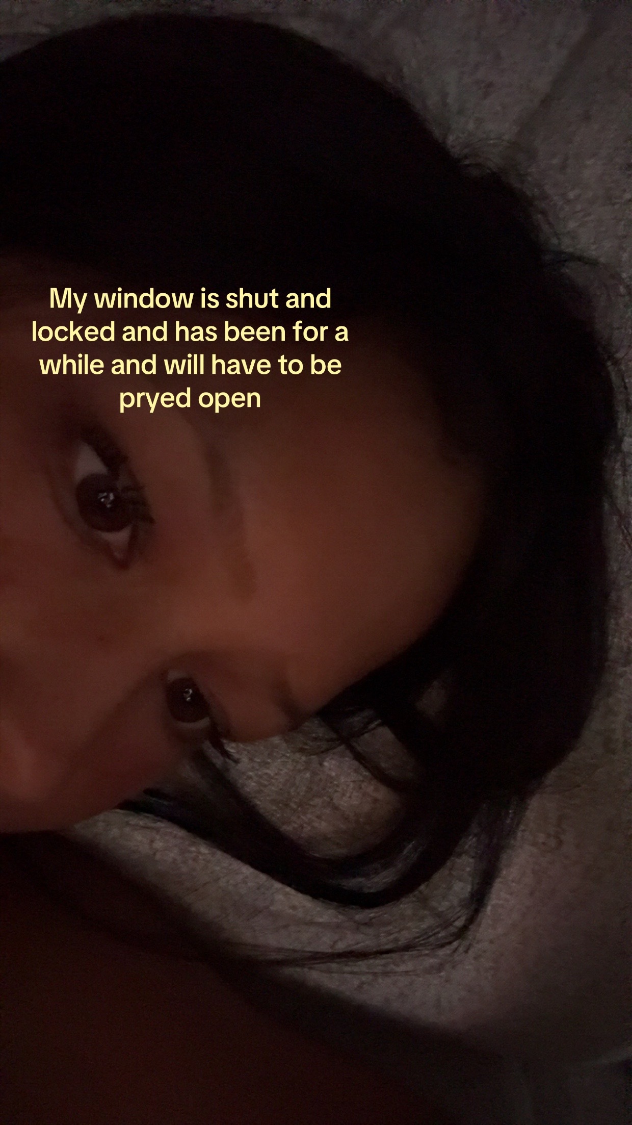 @Thelephantintheroom