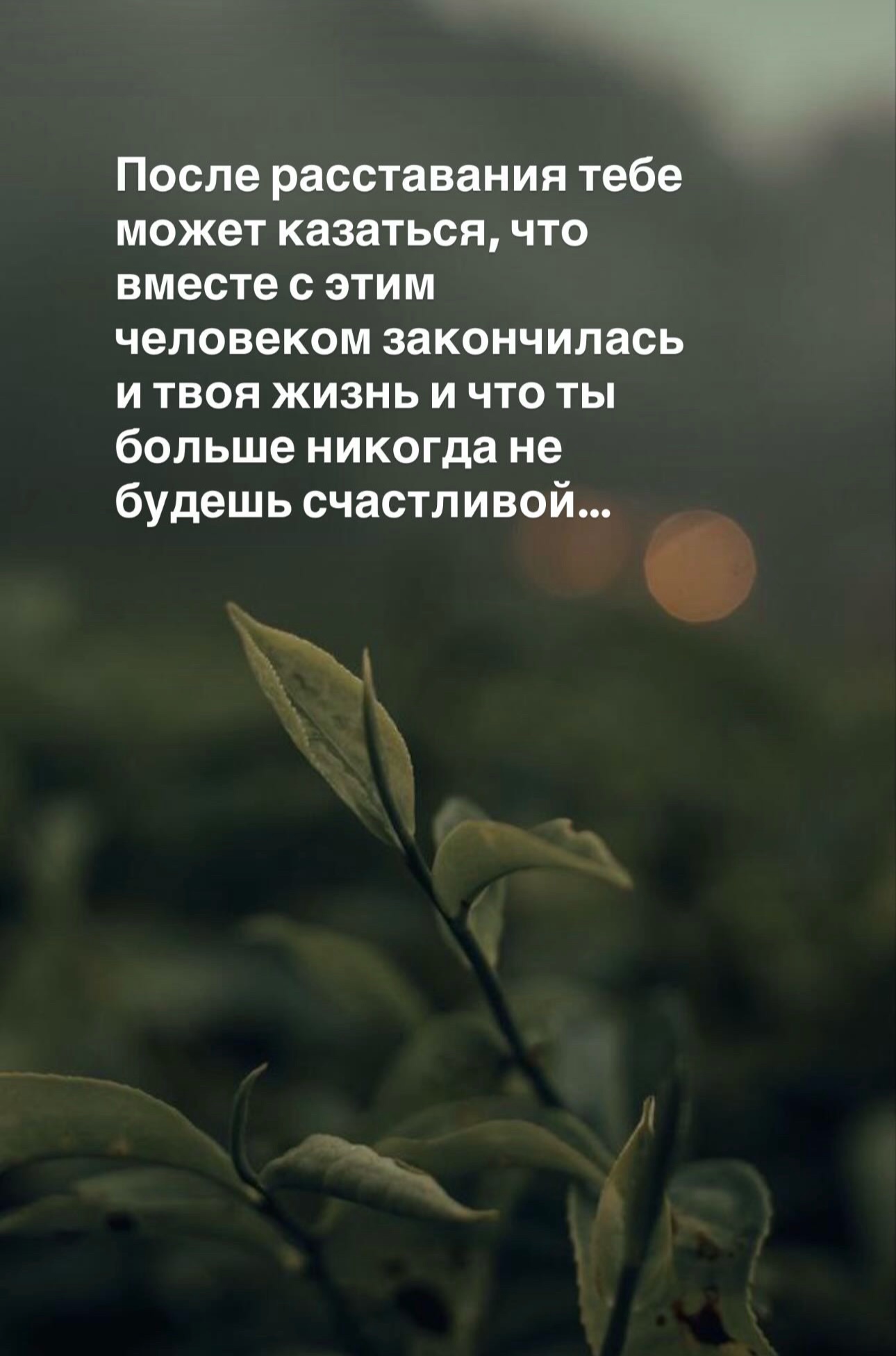@svetlana_konovalov