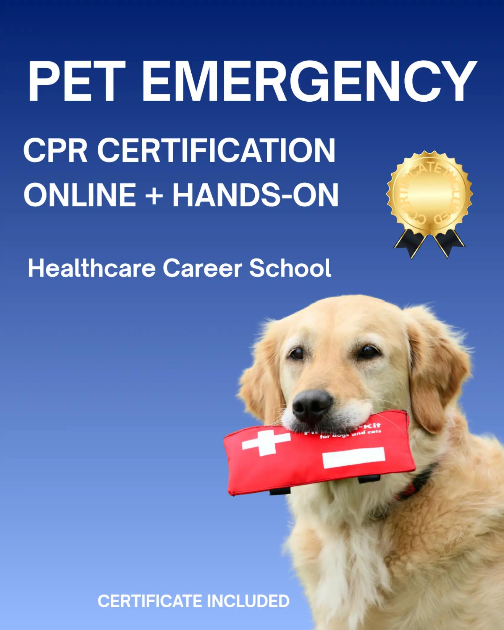 @DMS Care Training Center
