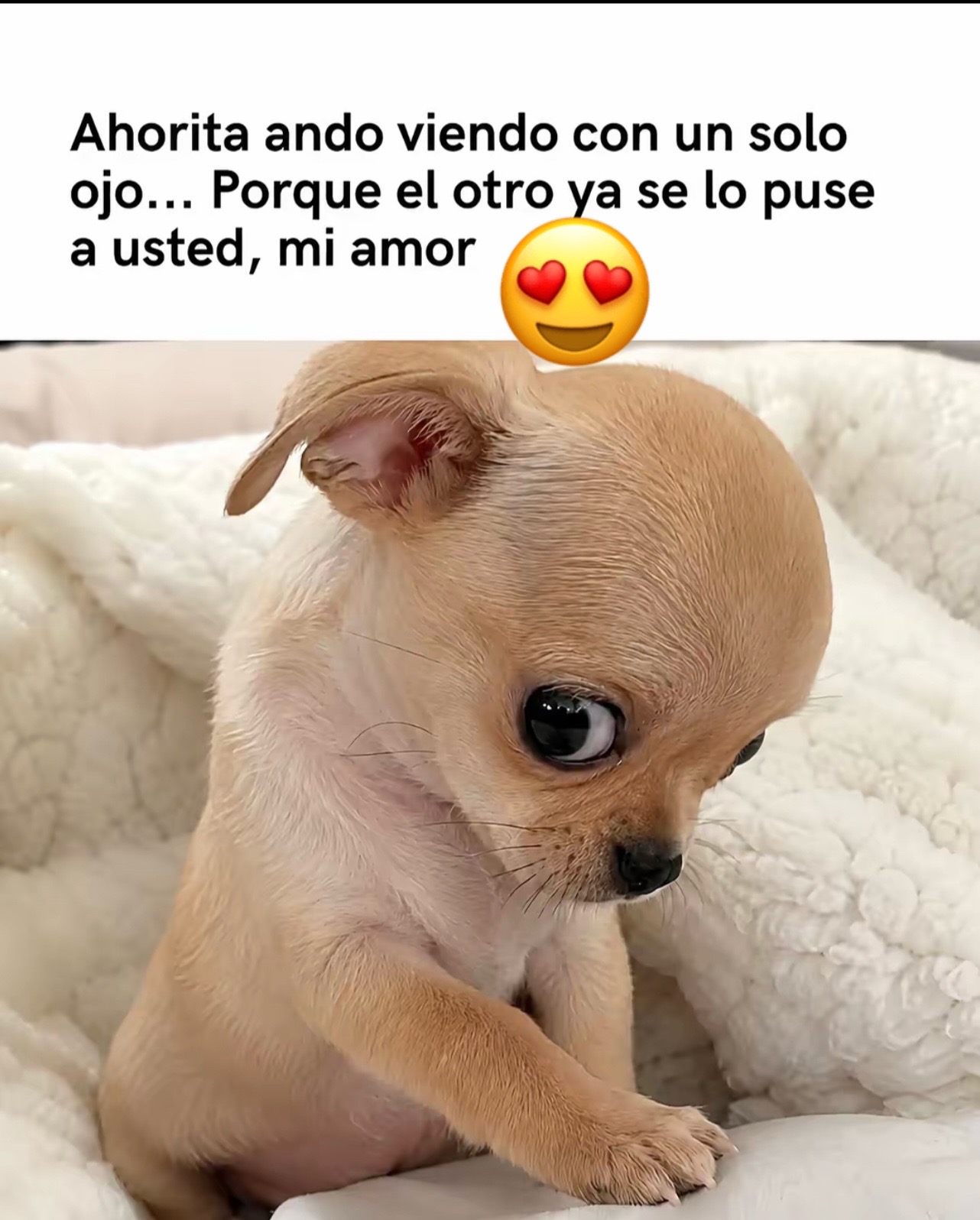 @MIDEYNA DEL CID👑🪙🫅💎💎💎