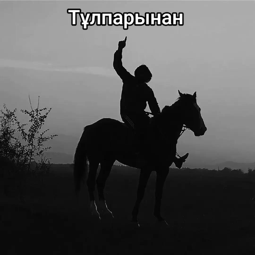 @✓