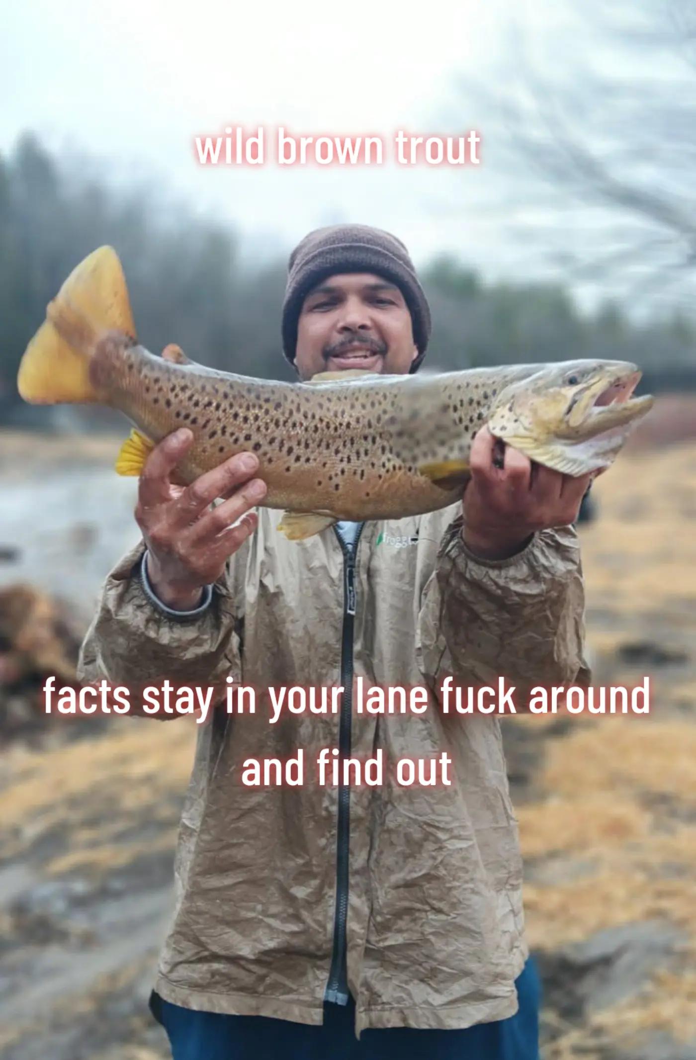 @Carlos Pagan